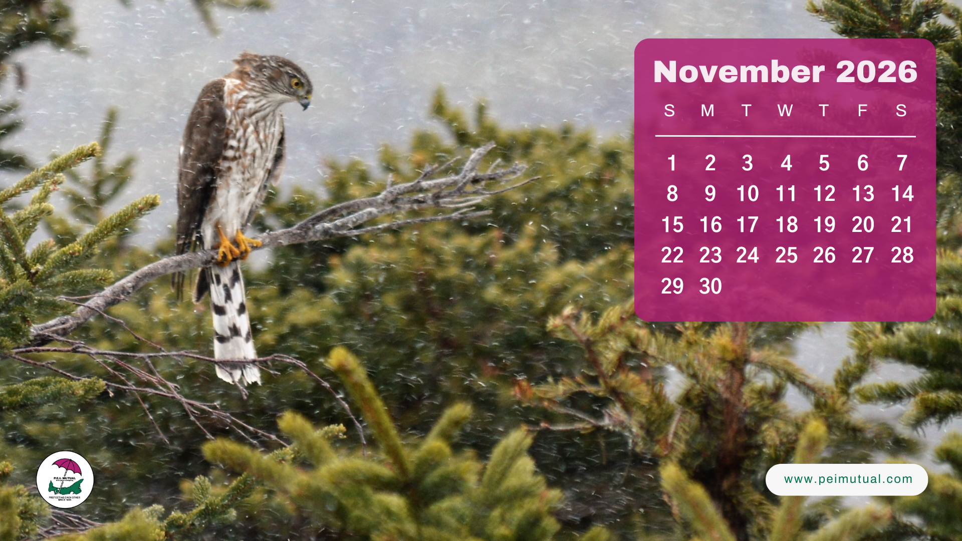 1920x1080 Calendar this year's calendar & PEI desktop wallpaper