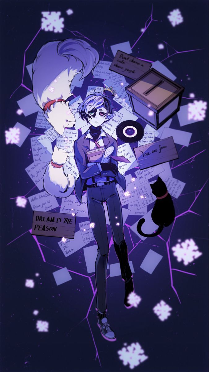 675x1200 Ranboo Panic Room