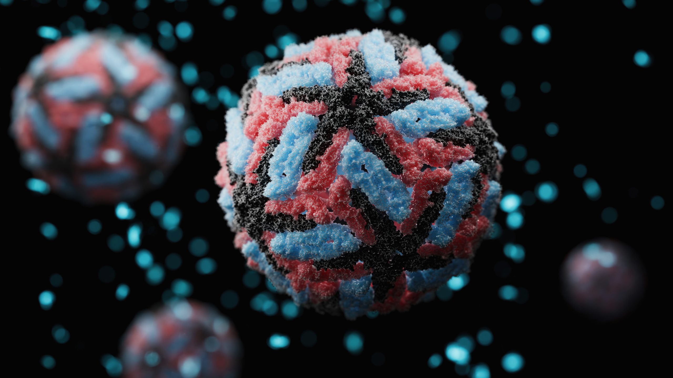 2560x1440 Dengue. CDC Yellow Book™