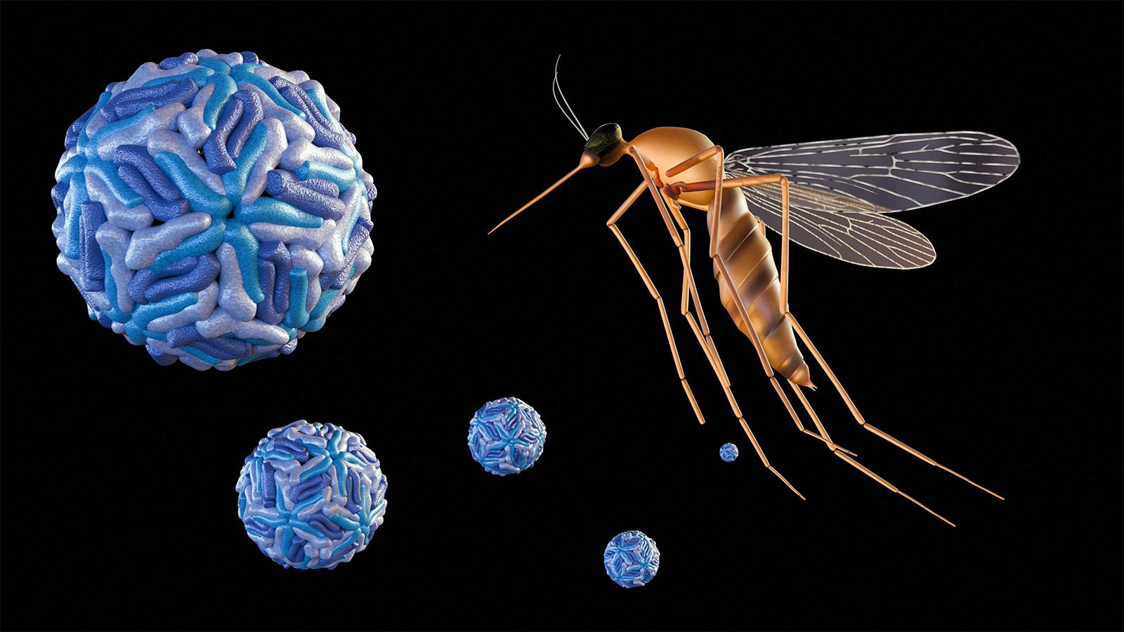 1600x900 Monoclonal for Dengue Shows Promise in Hospitalized Cases