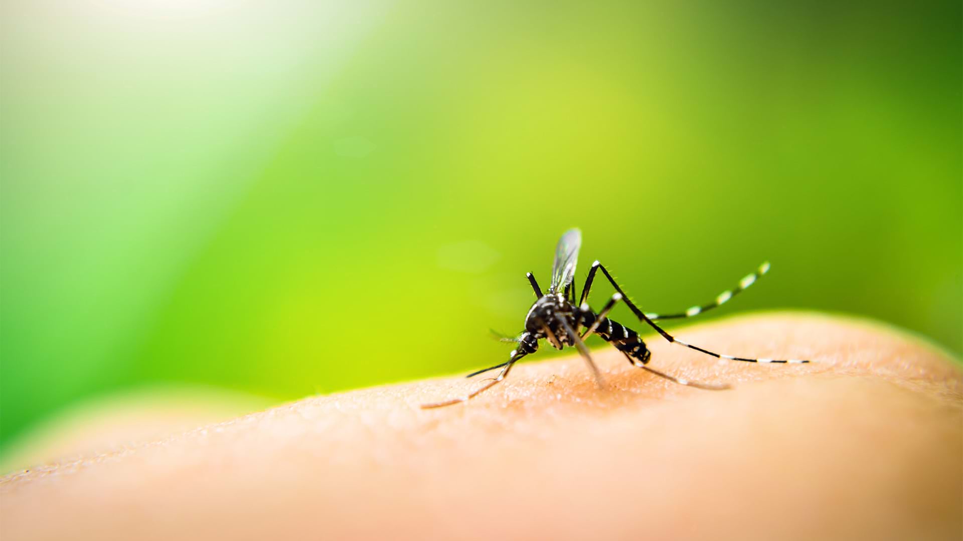 1920x1080 Puerto Rico Tackles Dengue with Help from GIS