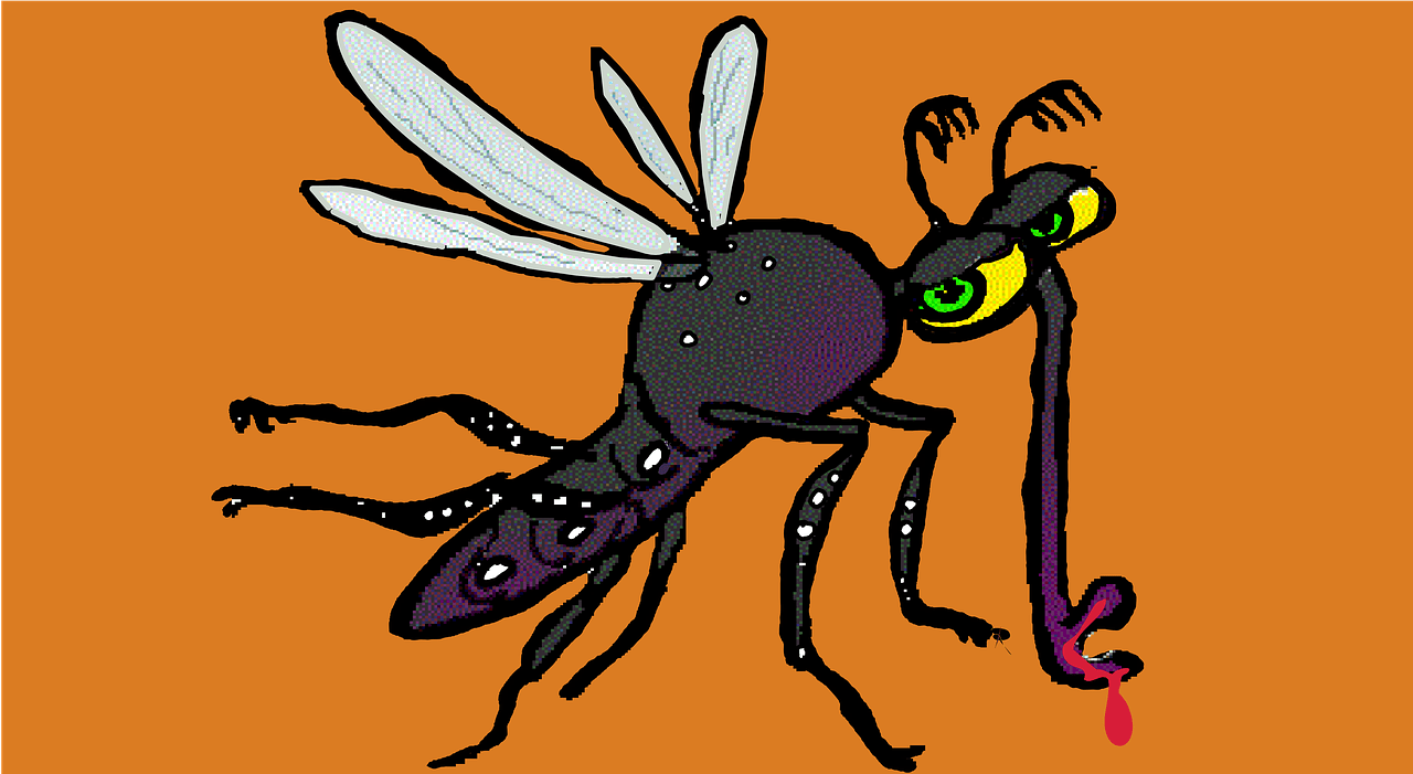 1280x701 Download Dengue Zika Mosquito. Royalty Free Stock Illustration Image