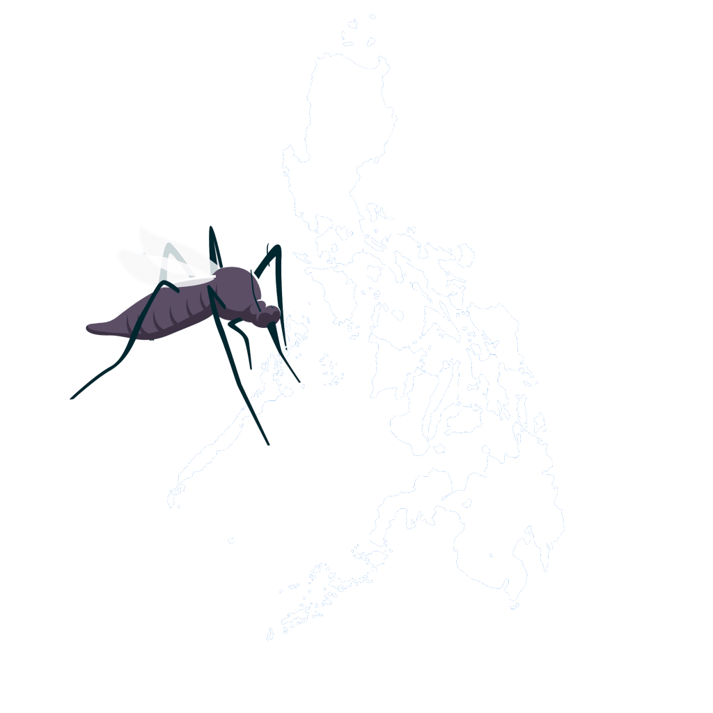 1024x1024 Things we need to know this National Dengue Awareness Month Plus Inc