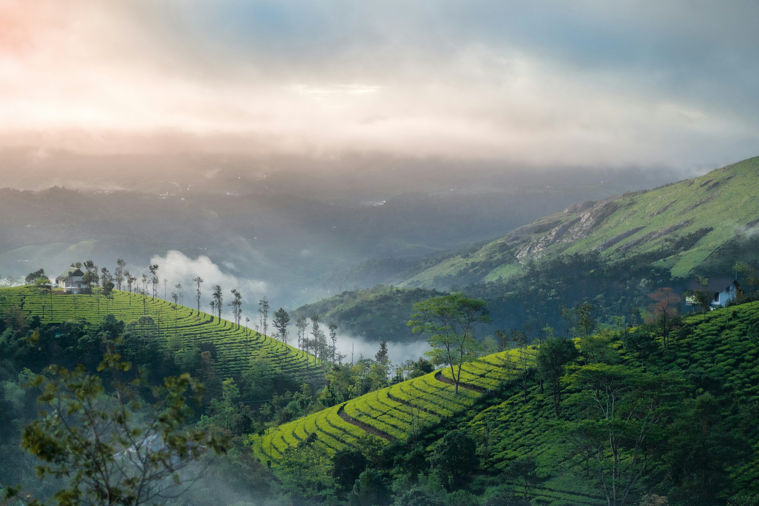 3000x2000 Vagamon Picture. Download Free Image