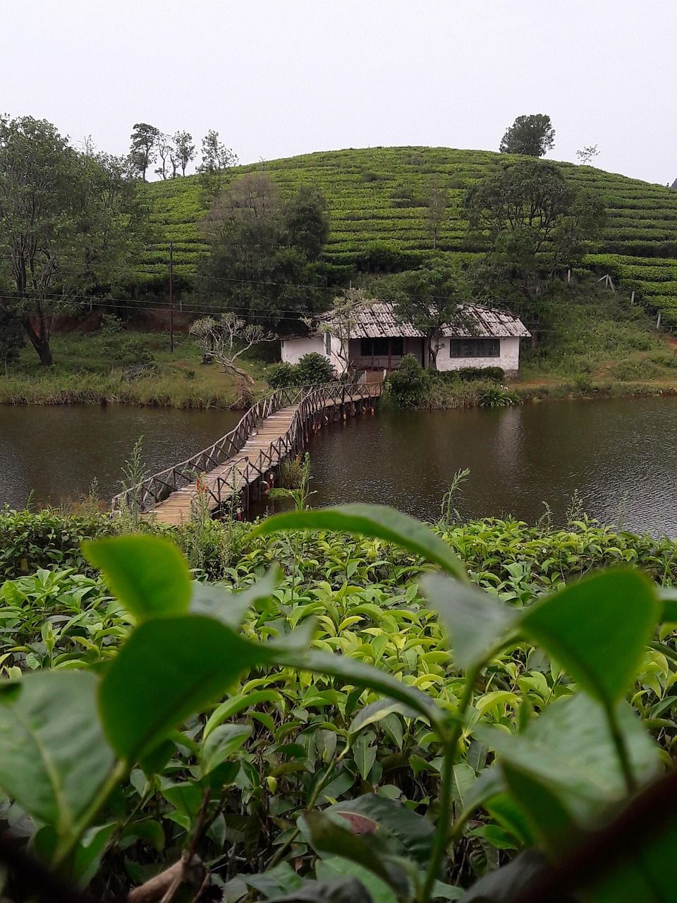 960x1280 Free Vagamon & Kerala Image
