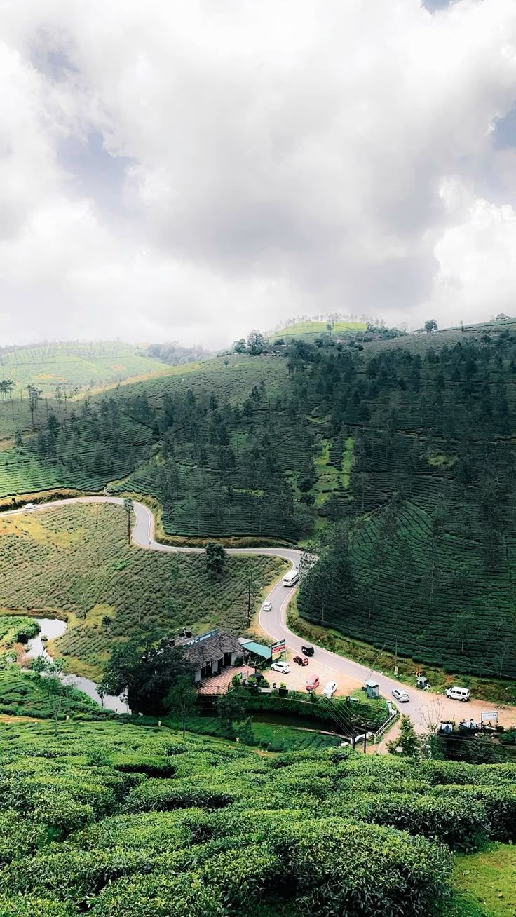 736x1308 Vagamon