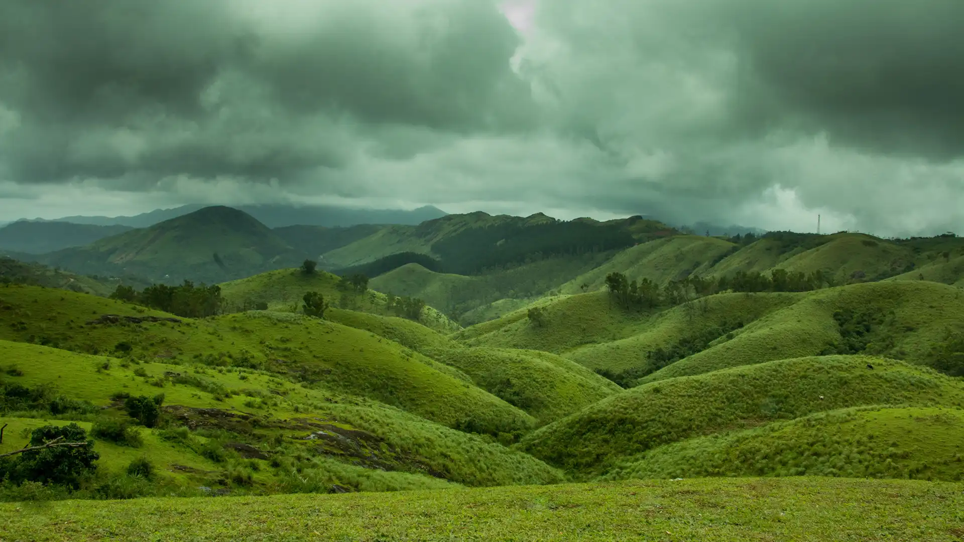1920x1080 Vagamon: Kerala's Serene Escape to the Hills