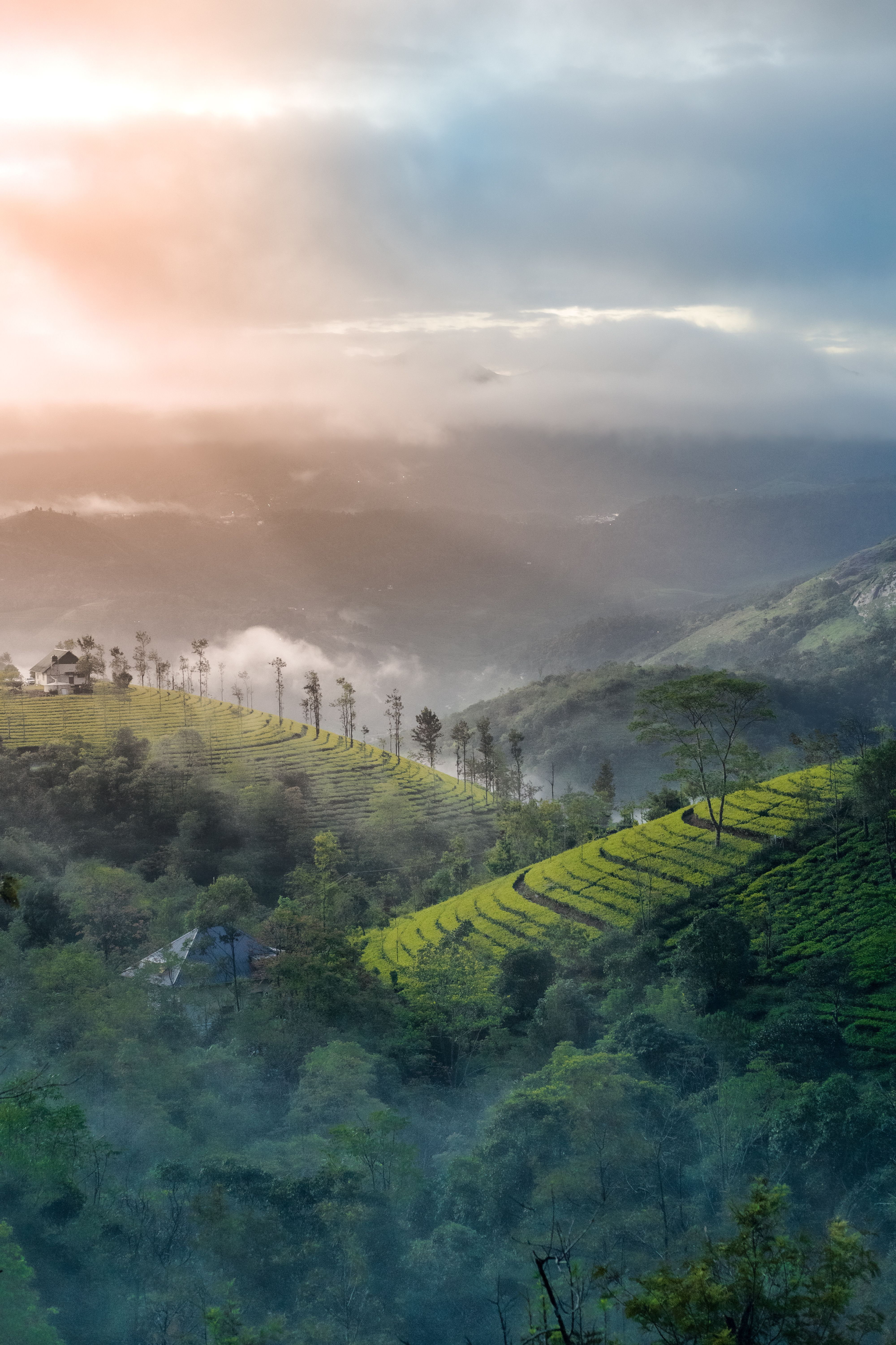 4000x6000 Vagamon Hills Photo, Download The BEST Free Vagamon Hills & HD Image