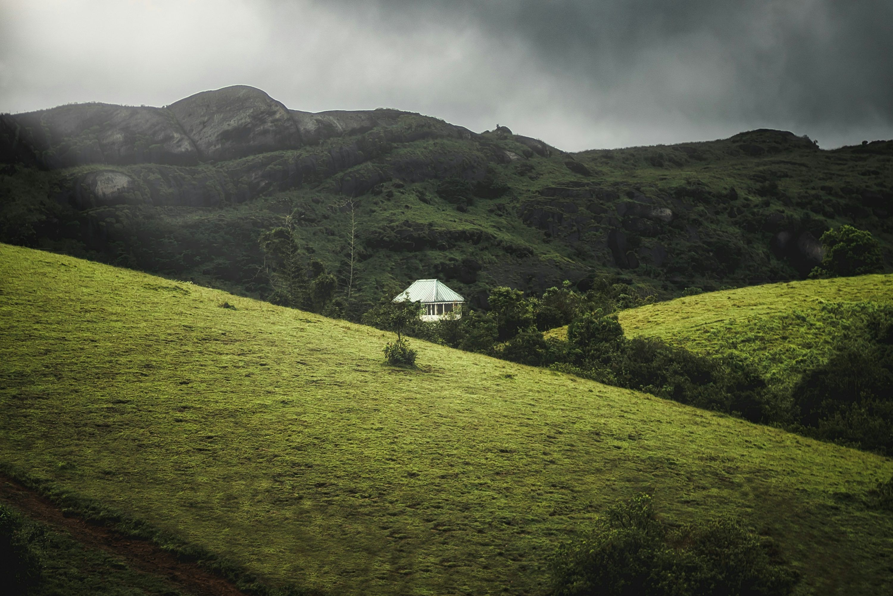3000x2003 Vagamon Picture. Download Free Image