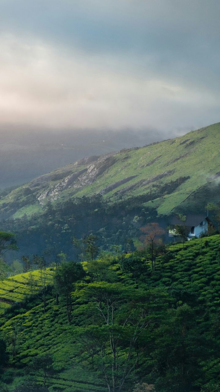 720x1280 These Are The Best Places To Visit In Vagamon, Kerala