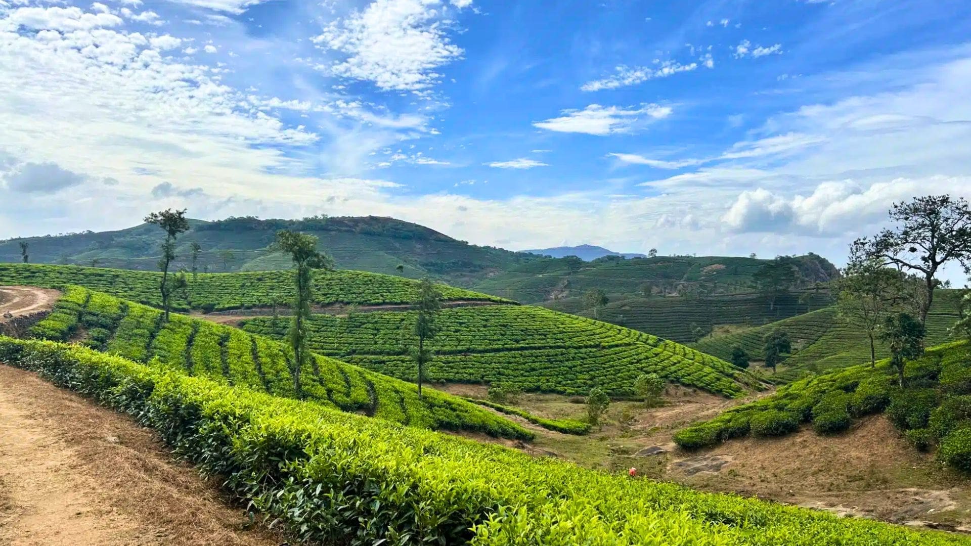 1920x1080 Best Vagamon Tourism Destination To Visit This Year