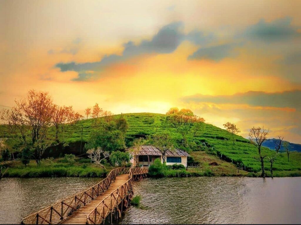1024x768 Vagamon Lake. Asian Trails India