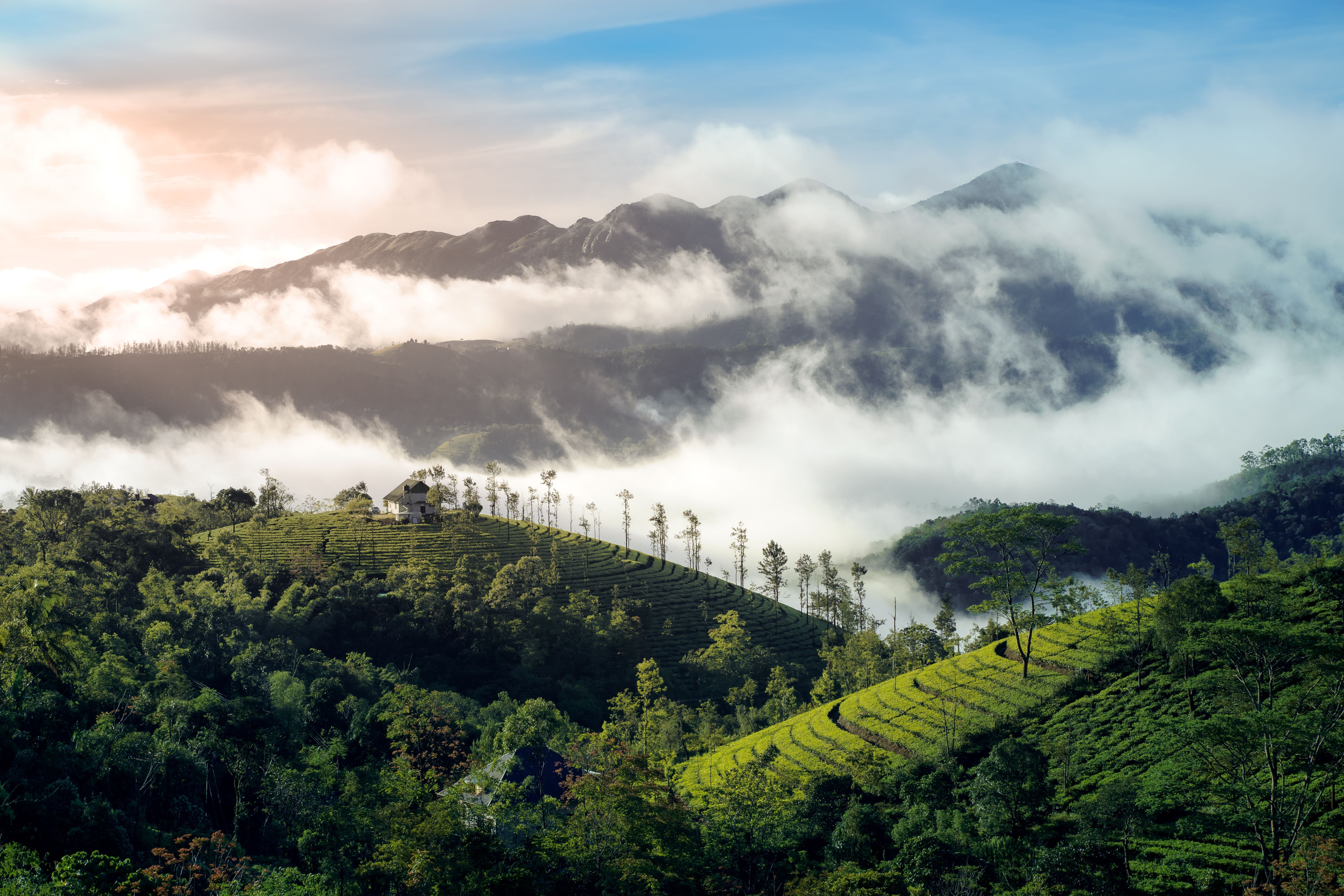 6000x4000 Vagamon Hills Photo, Download The BEST Free Vagamon Hills & HD Image