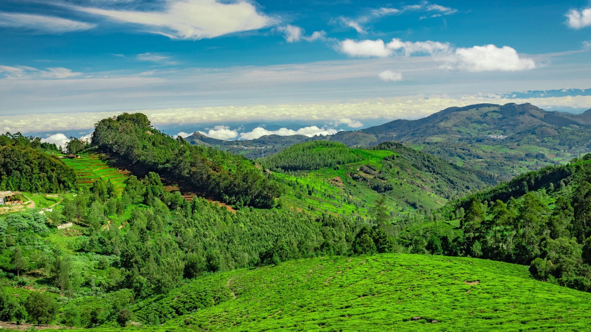 1920x1080 Best Vagamon Tourism Destination To Visit This Year