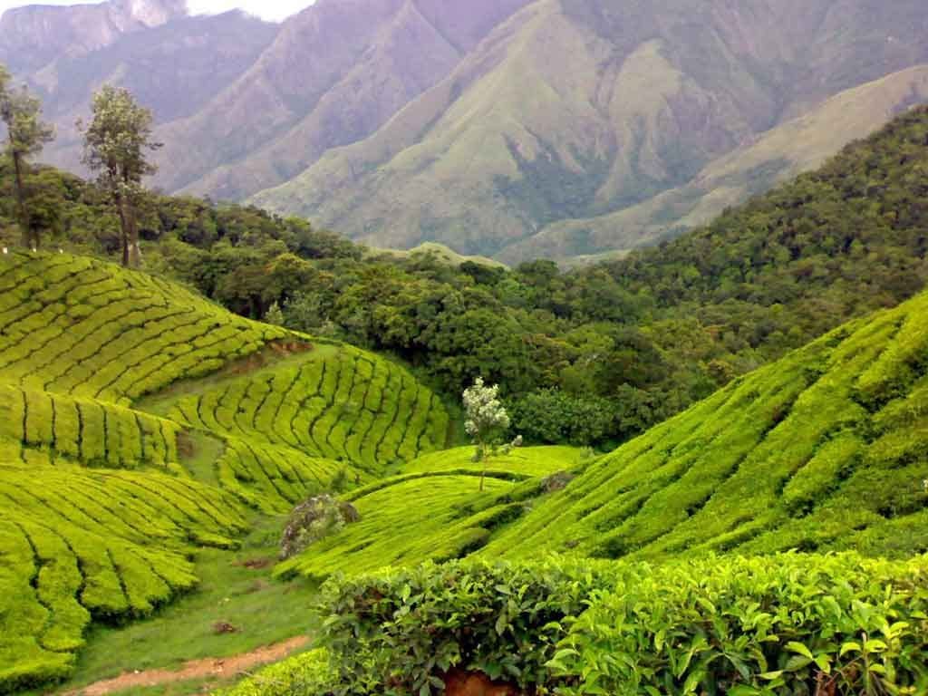 1024x768 Listen the Music of Vagamon by GogeoHolidays.