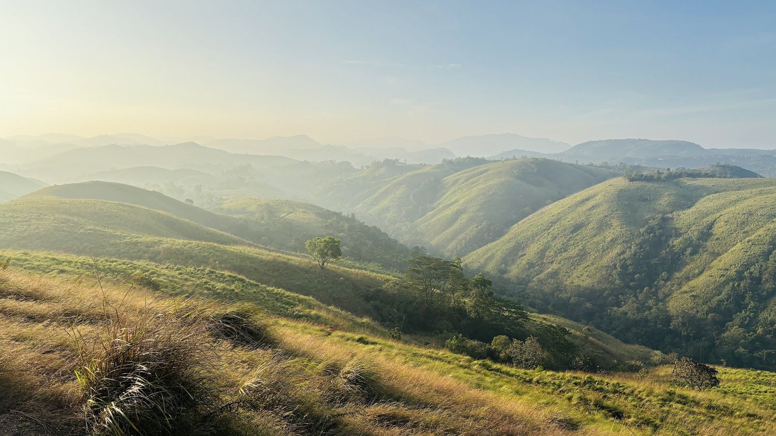 1600x900 Vagamon Hills. Timings, History & Visitor Guide