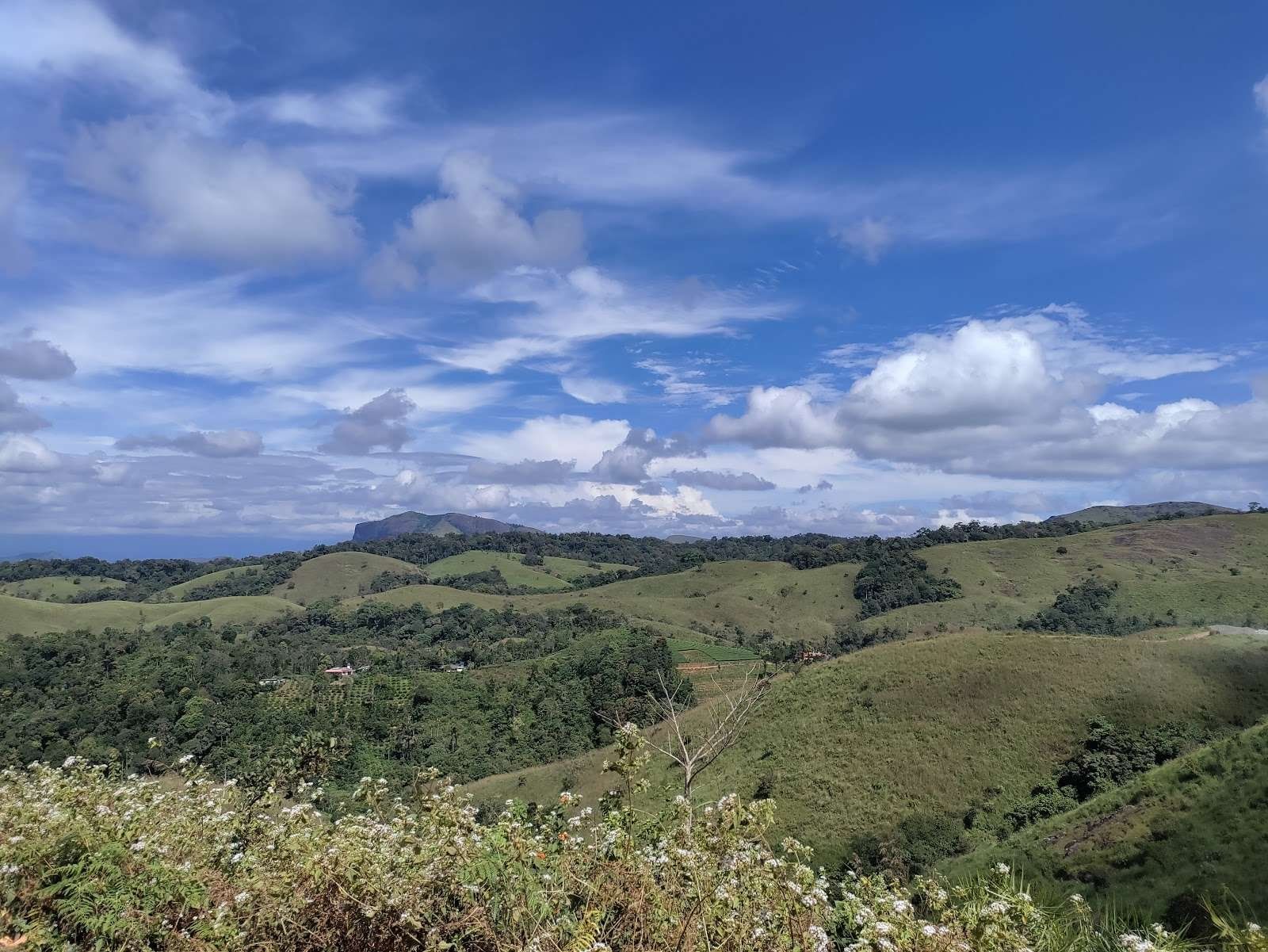 1600x1201 Vagamon Tourist Places. Best Places to Visit in Vagamon