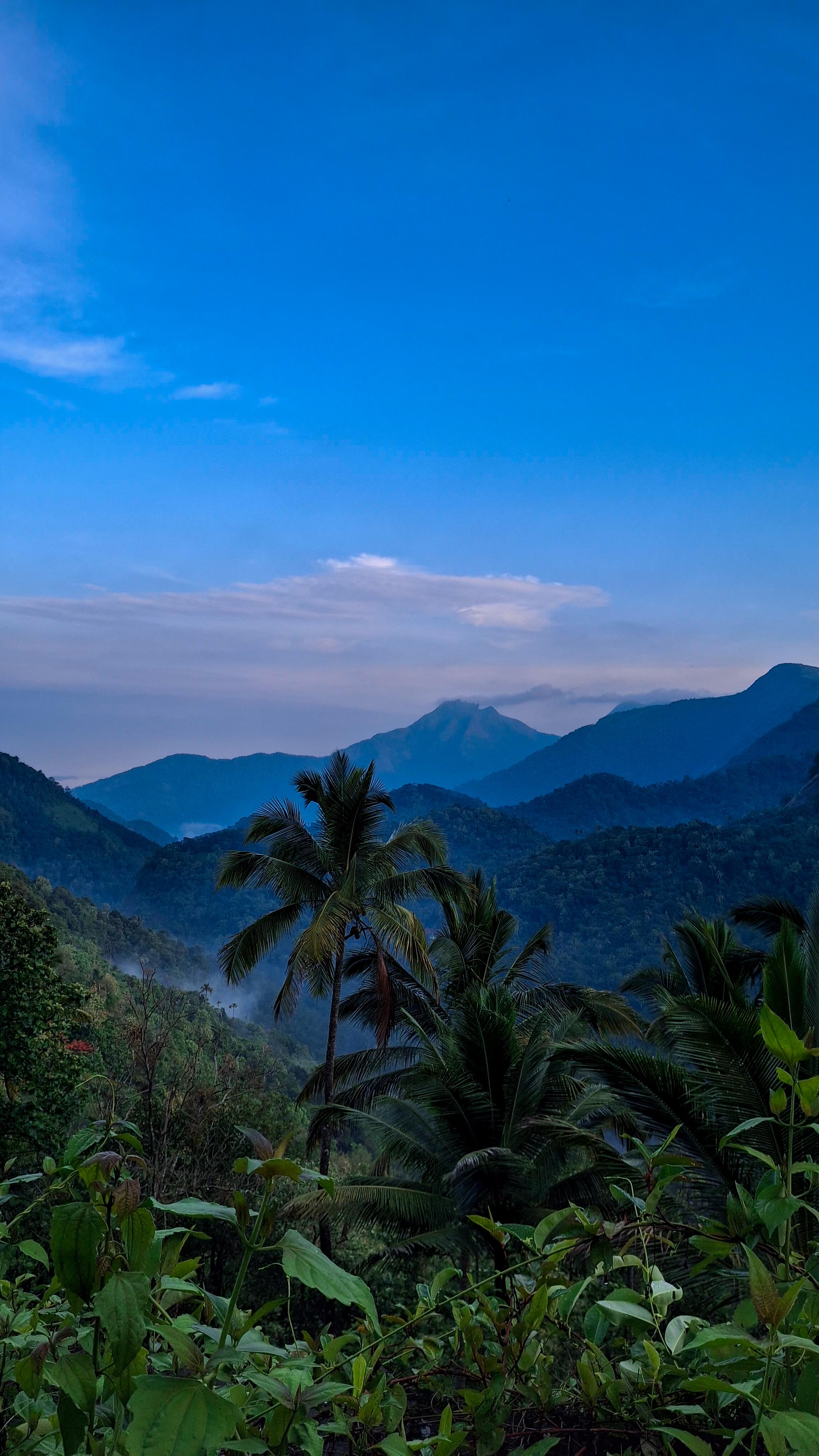 2296x4080 Vagamon : R India_tourism