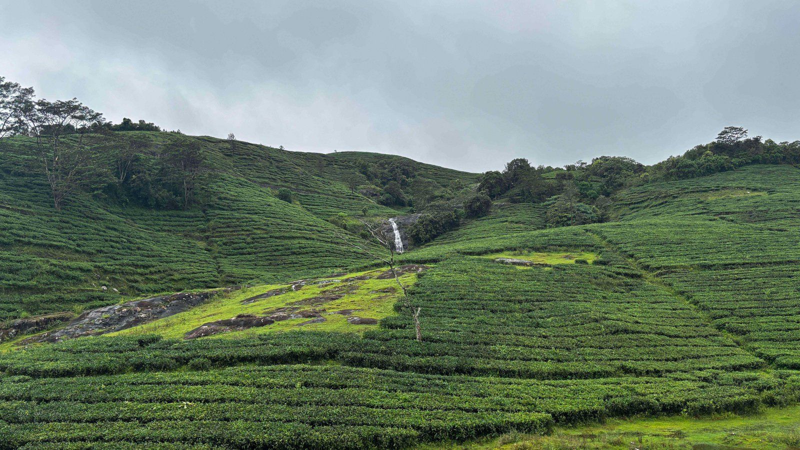 1600x900 Vagamon Tour Package 3 Days 2 Nights Best Tour