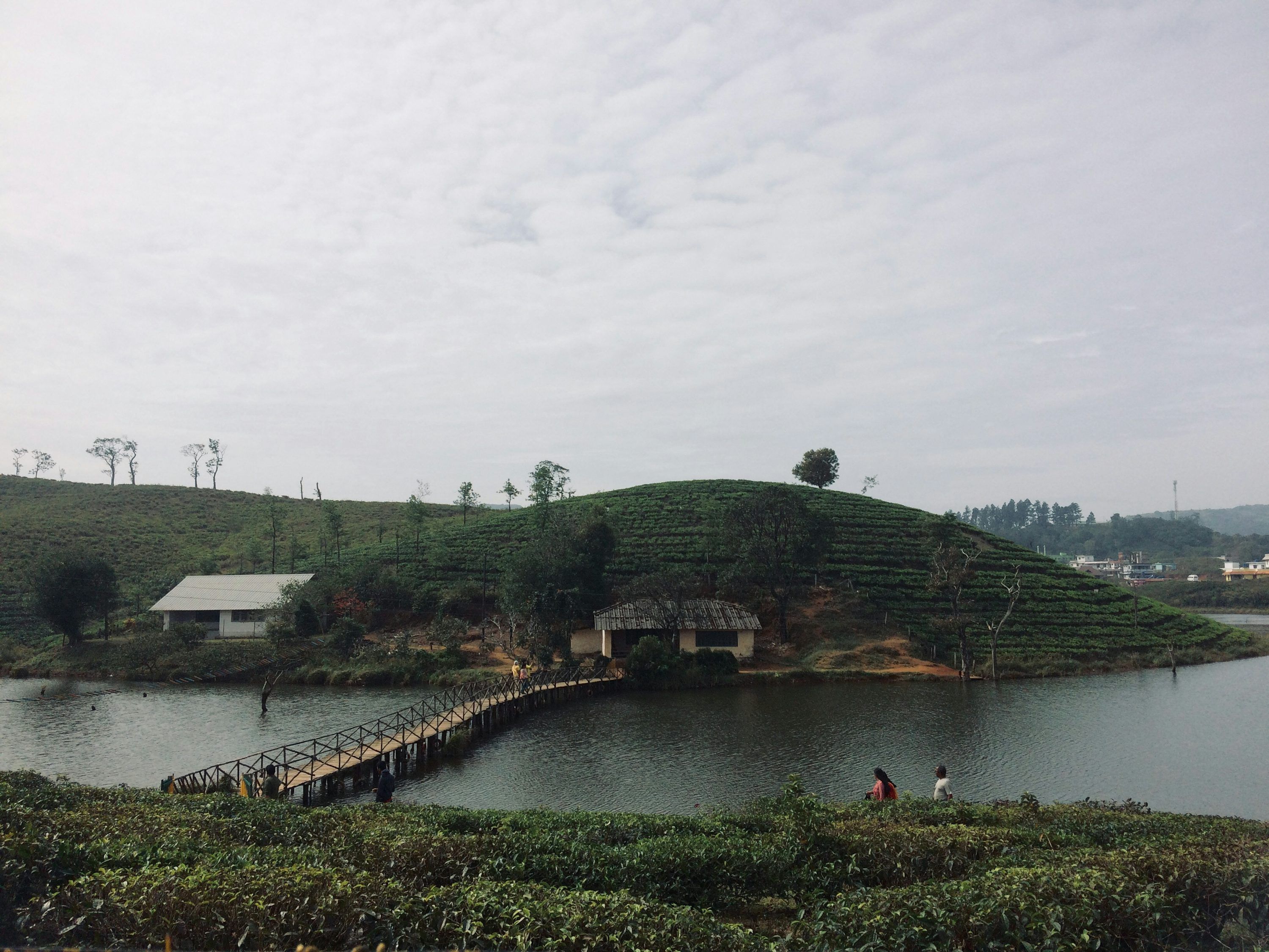 3000x2250 Vagamon Picture. Download Free Image