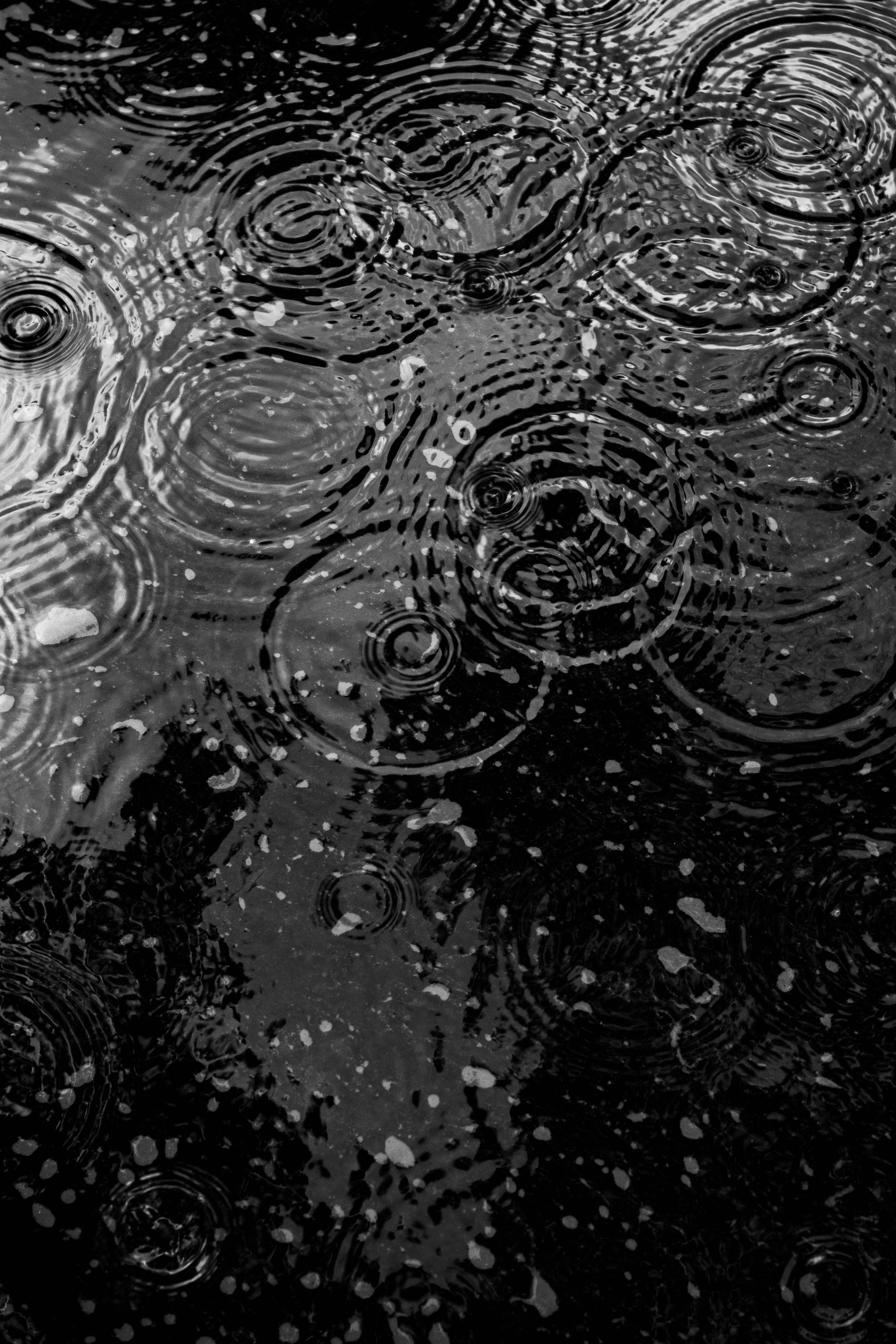 4000x6000 Rain Wallpaper Photo, Download The BEST Free Rain Wallpaper & HD Image