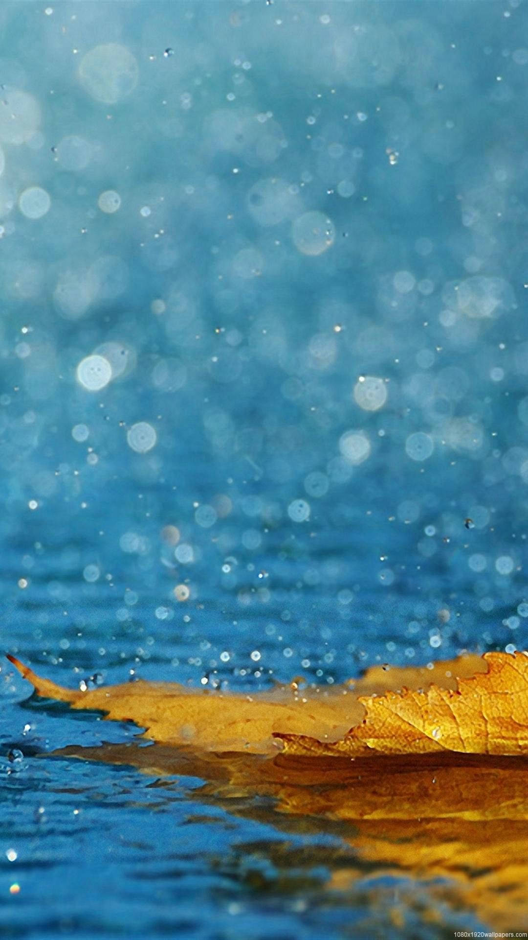 1080x1920 iPhone Rain Wallpaper