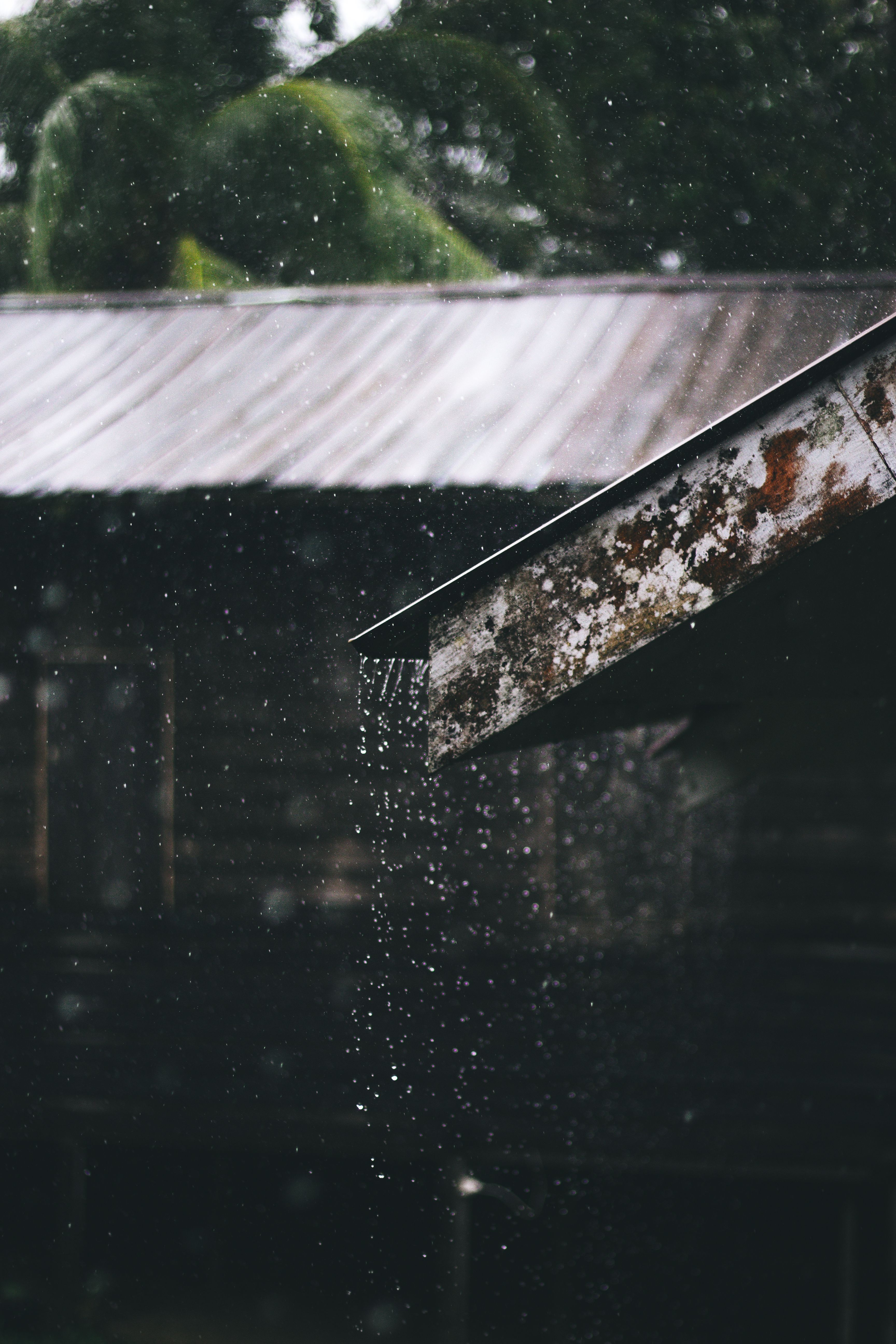 3456x5184 Rain Wallpaper Photo, Download The BEST Free Rain Wallpaper & HD Image