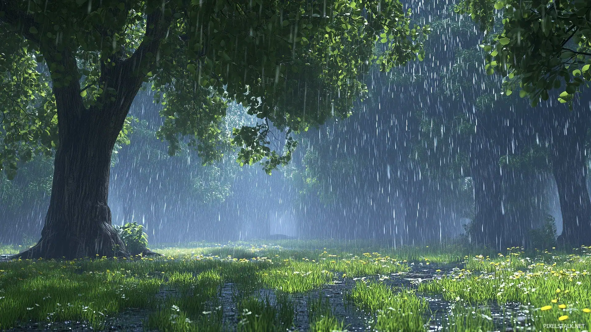 1920x1080 Aesthetic Rain Desktop Wallpaper