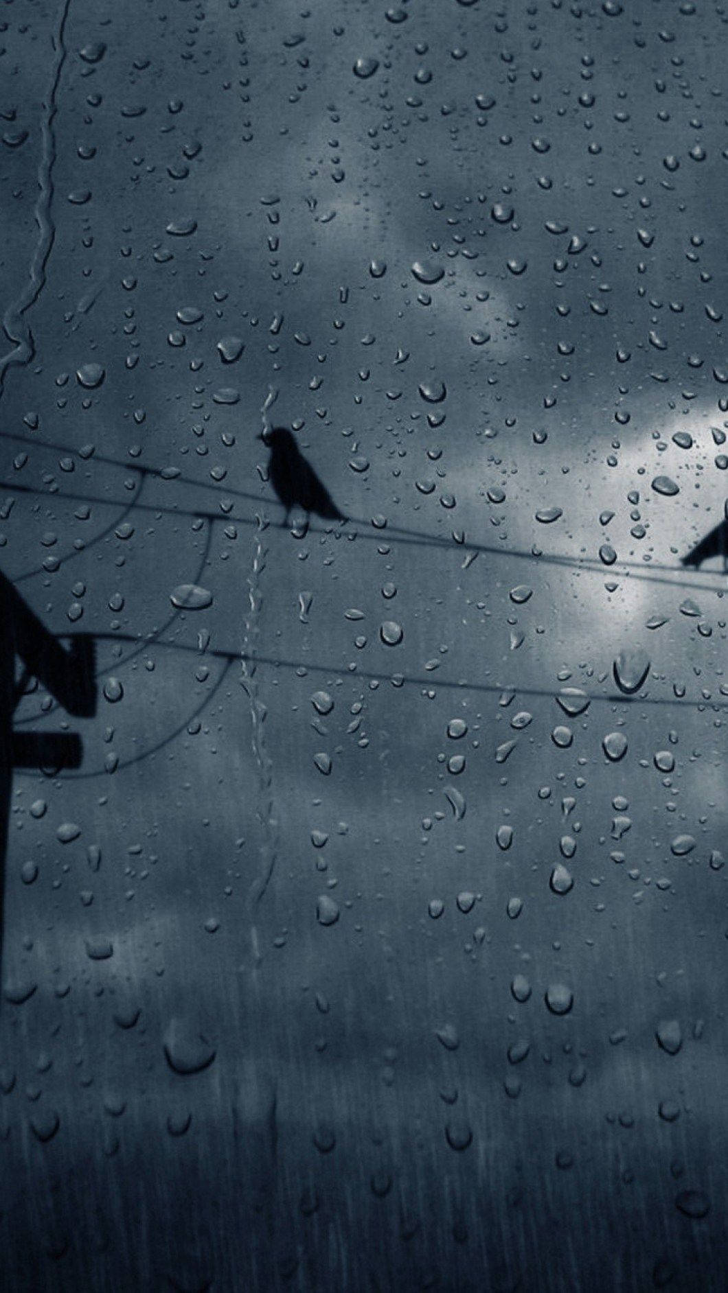 1060x1884 Download Gloomy Yet Beautiful Rain Phone Wallpaper