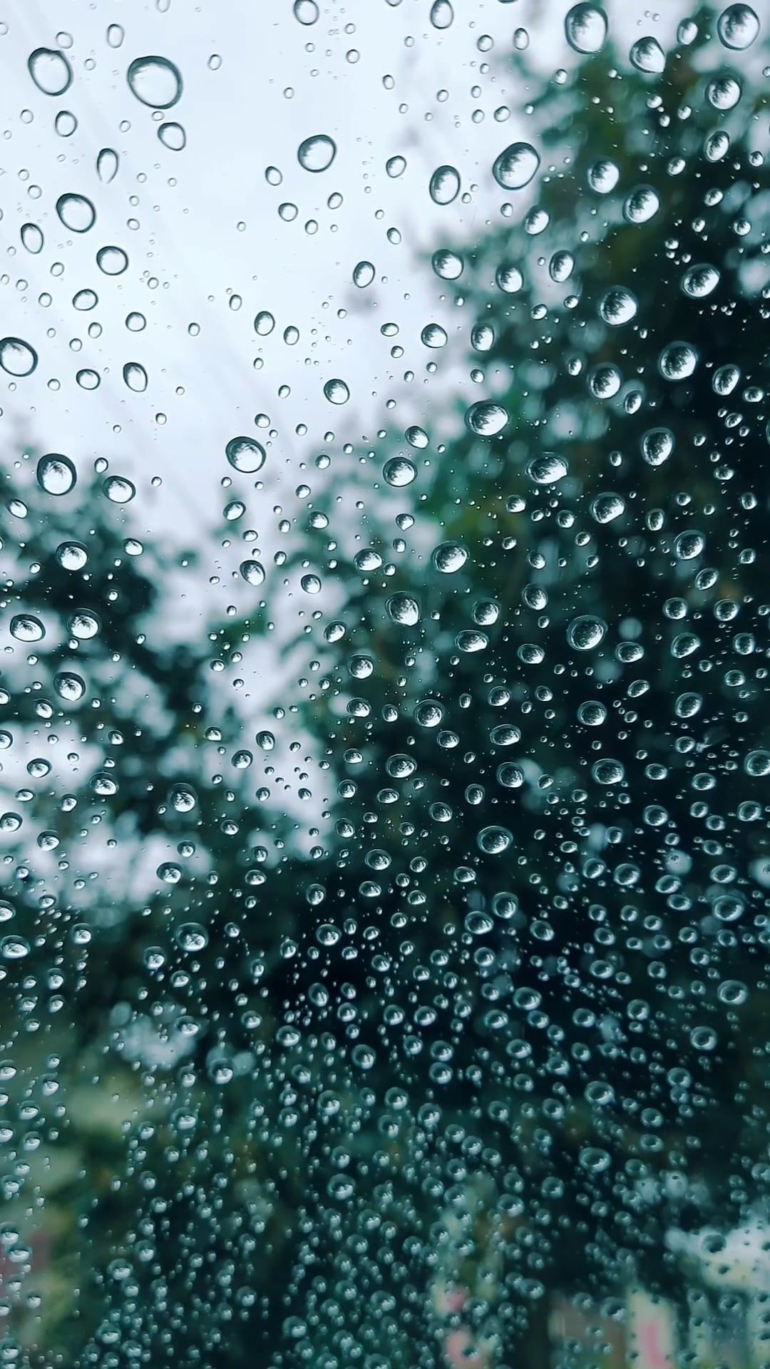 1080x1920 Close Up Of Raindrops On Glass