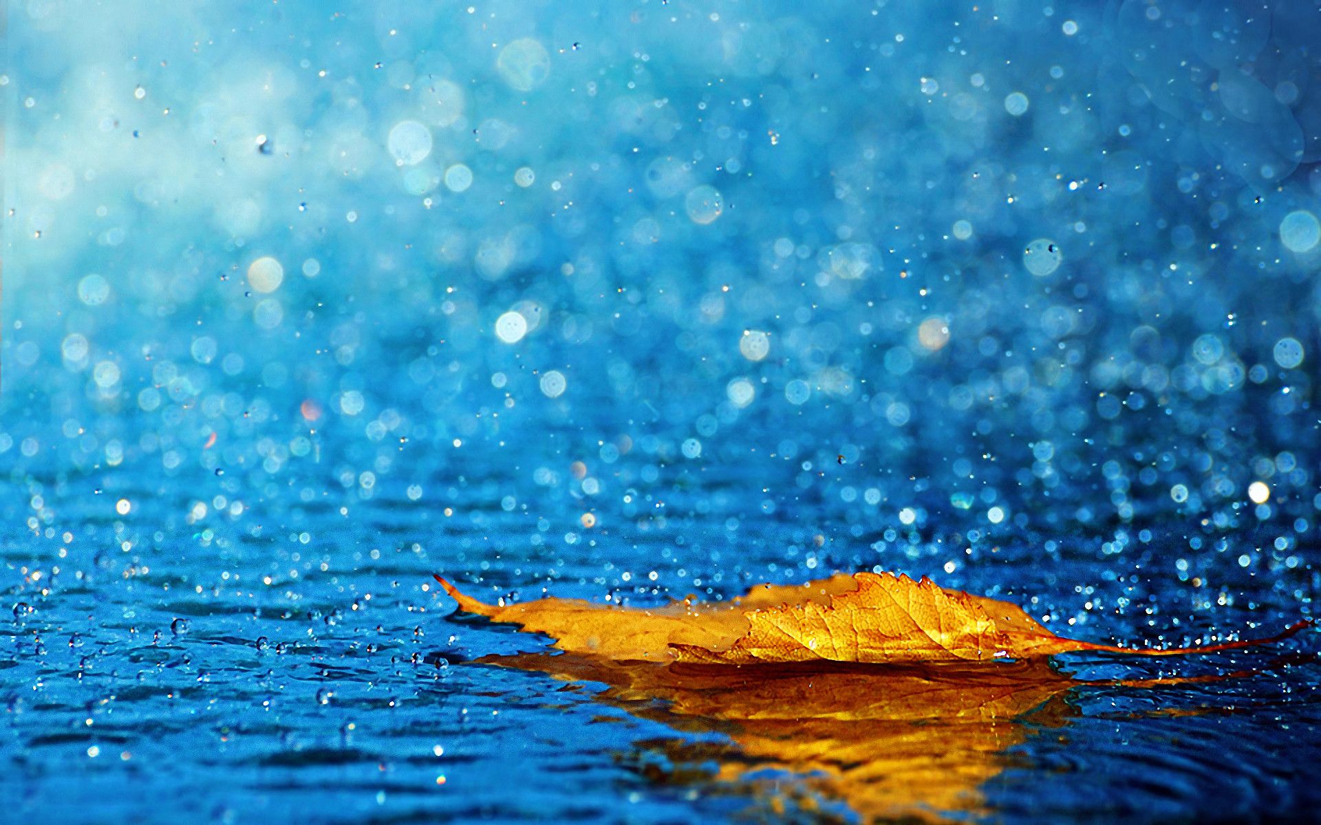 1920x1200 Rain Wallpaper For Desktop