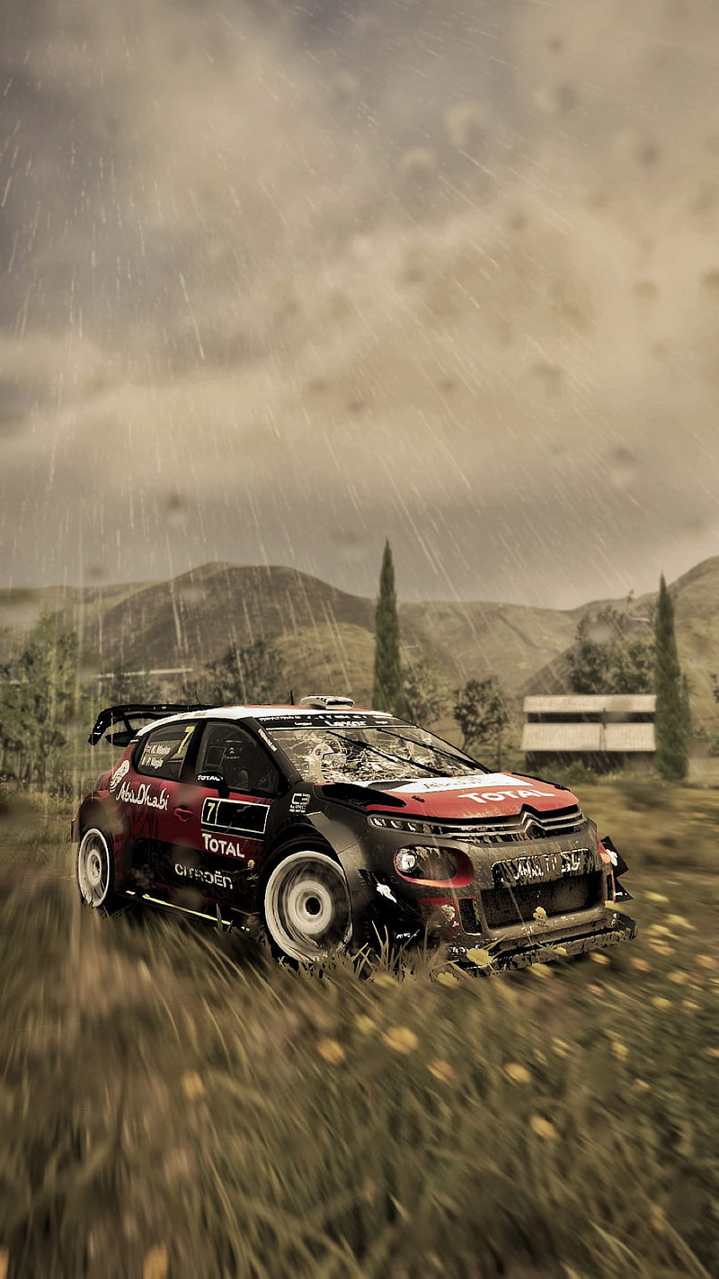 800x1422 HD Dirt Rally 2 Wallpaper