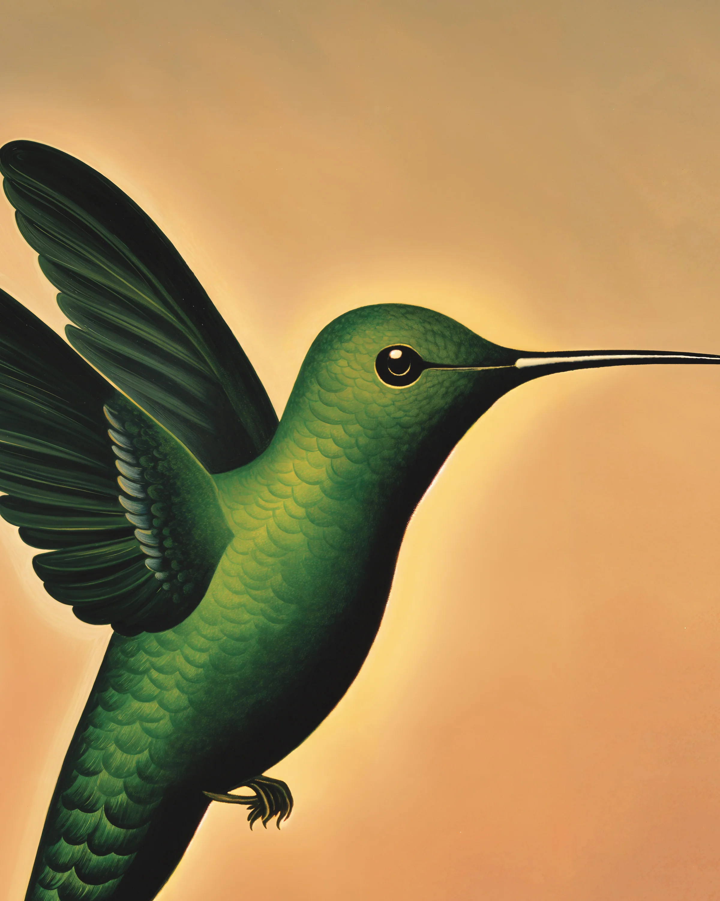 2400x3000 Hummingbird Poster Bird Art Print