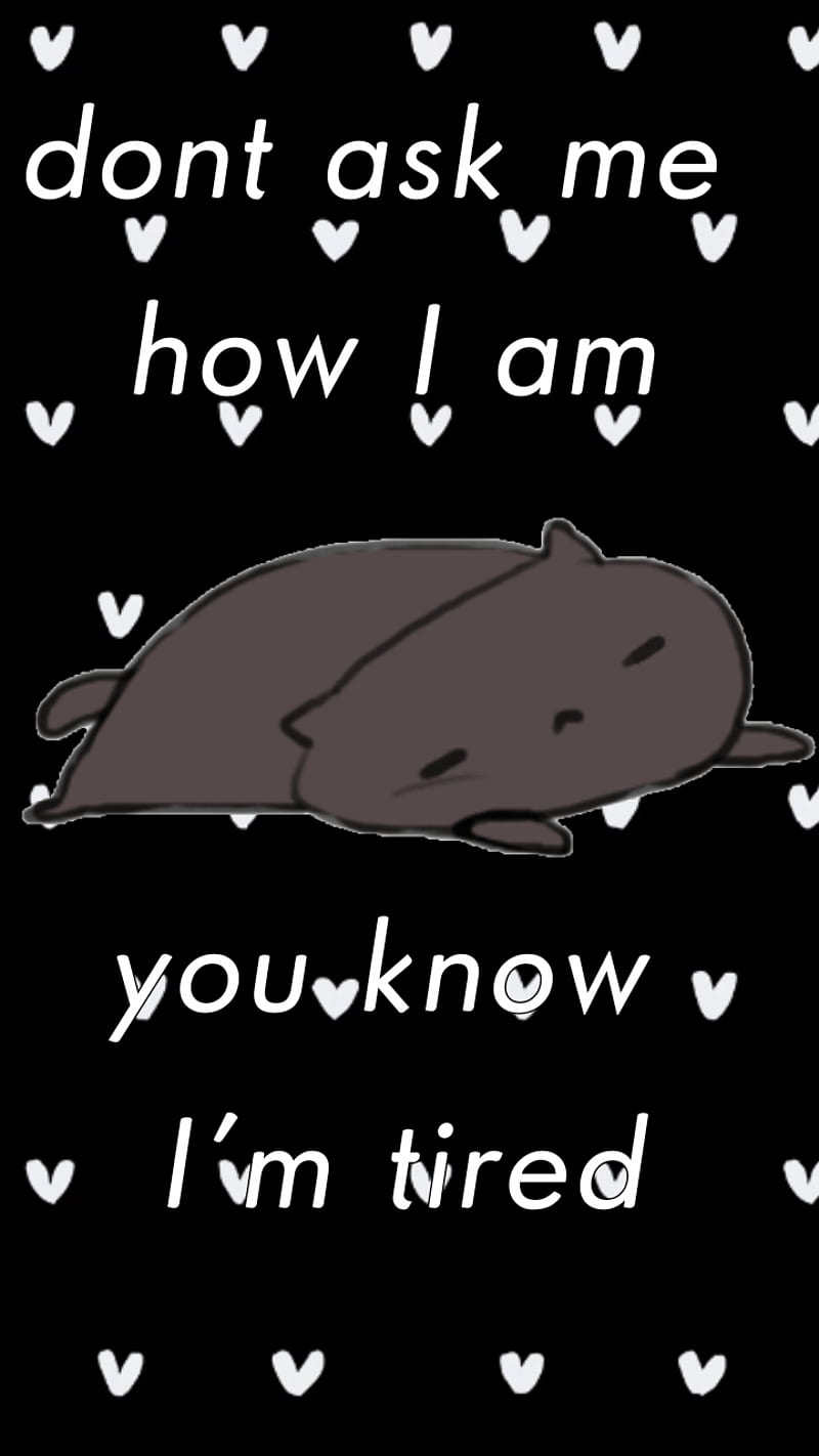 800x1422 Tired sleep time, anime, black, cat, comedy, gray, quotes, white, HD phone wallpaper