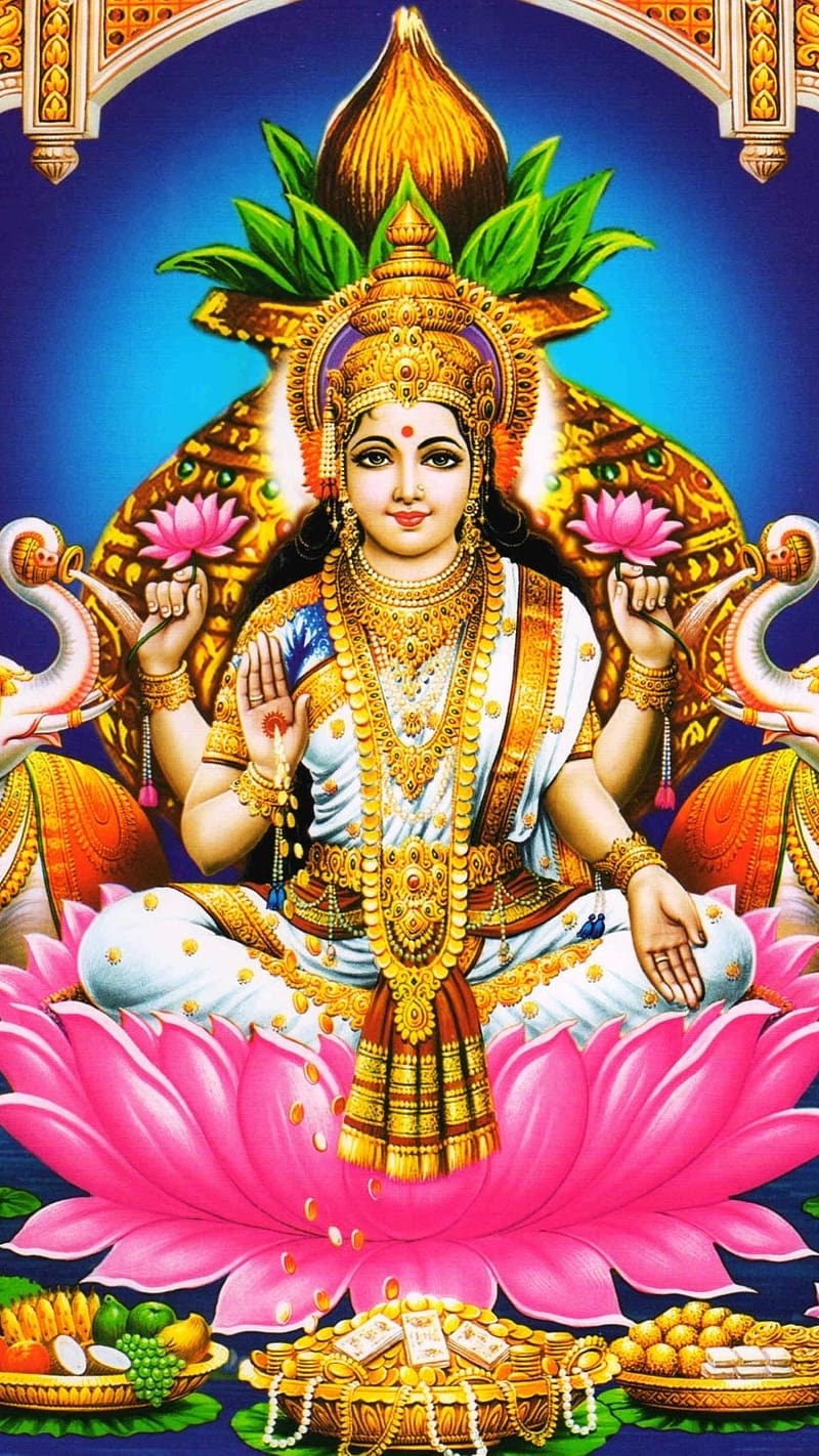 800x1422 God Lakshmi Full, God Of Wealth, mahalakshmi, goddess, HD phone wallpaper