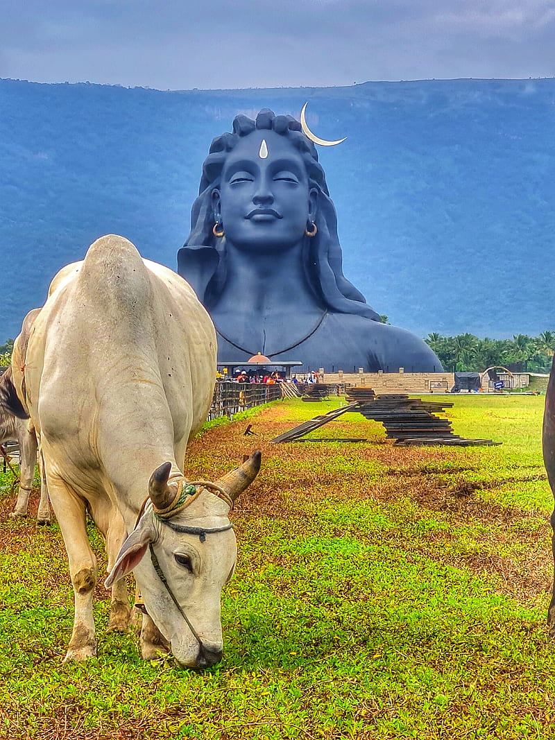 800x1067 Isha Foundation, adiyogi, linga, mahakala, sadguru, shakara, shiv, shiva, shiva statue, HD phone wallpaper