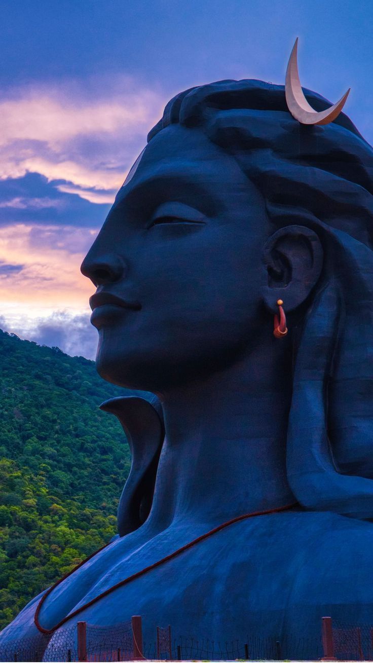736x1308 Shiva image HD. Jack sparrow wallpaper, Isha yoga, Adiyogi HD wallpaper