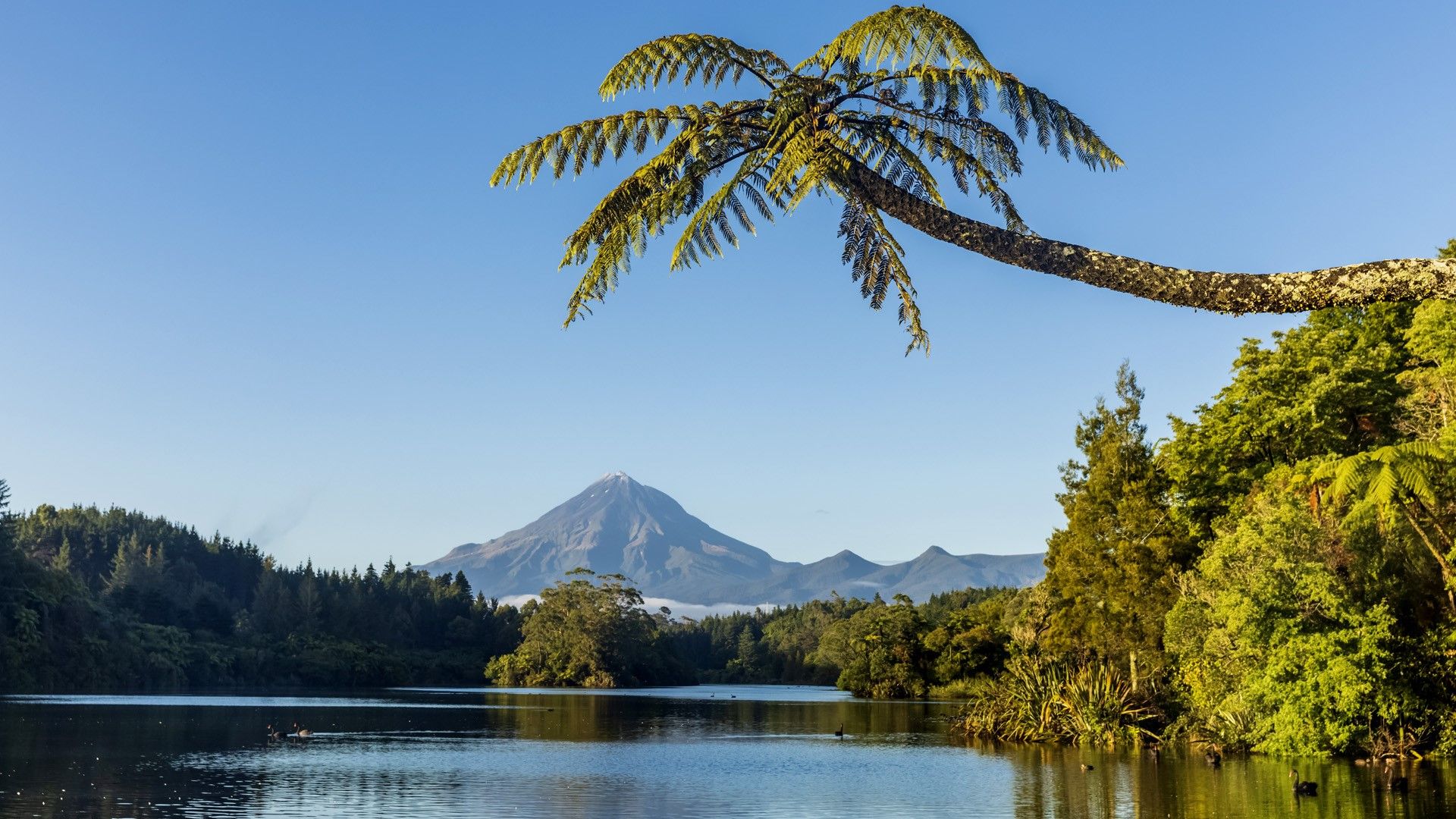 1920x1080 Lake Mangamahoe shore with Mount Taranaki in background, New Plymouth, New Zealand. Windows Spotlight Image
