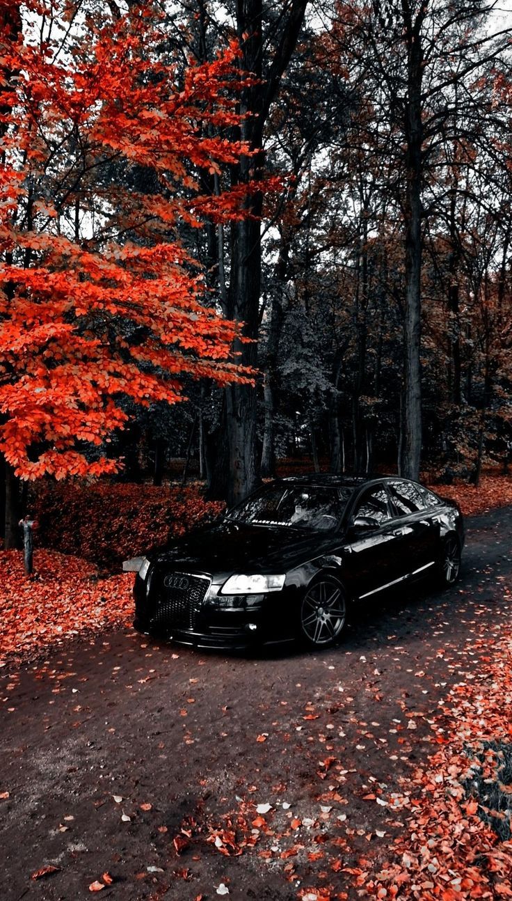 736x1294 Audi a6 c6 rs look