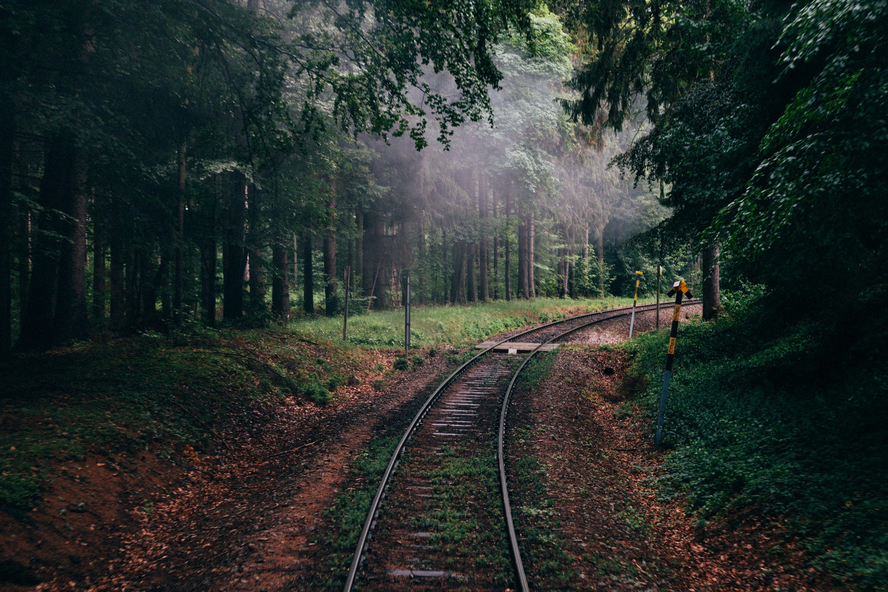 3000x2000 Eisenbahn zwischen Wald und Wald Foto auf