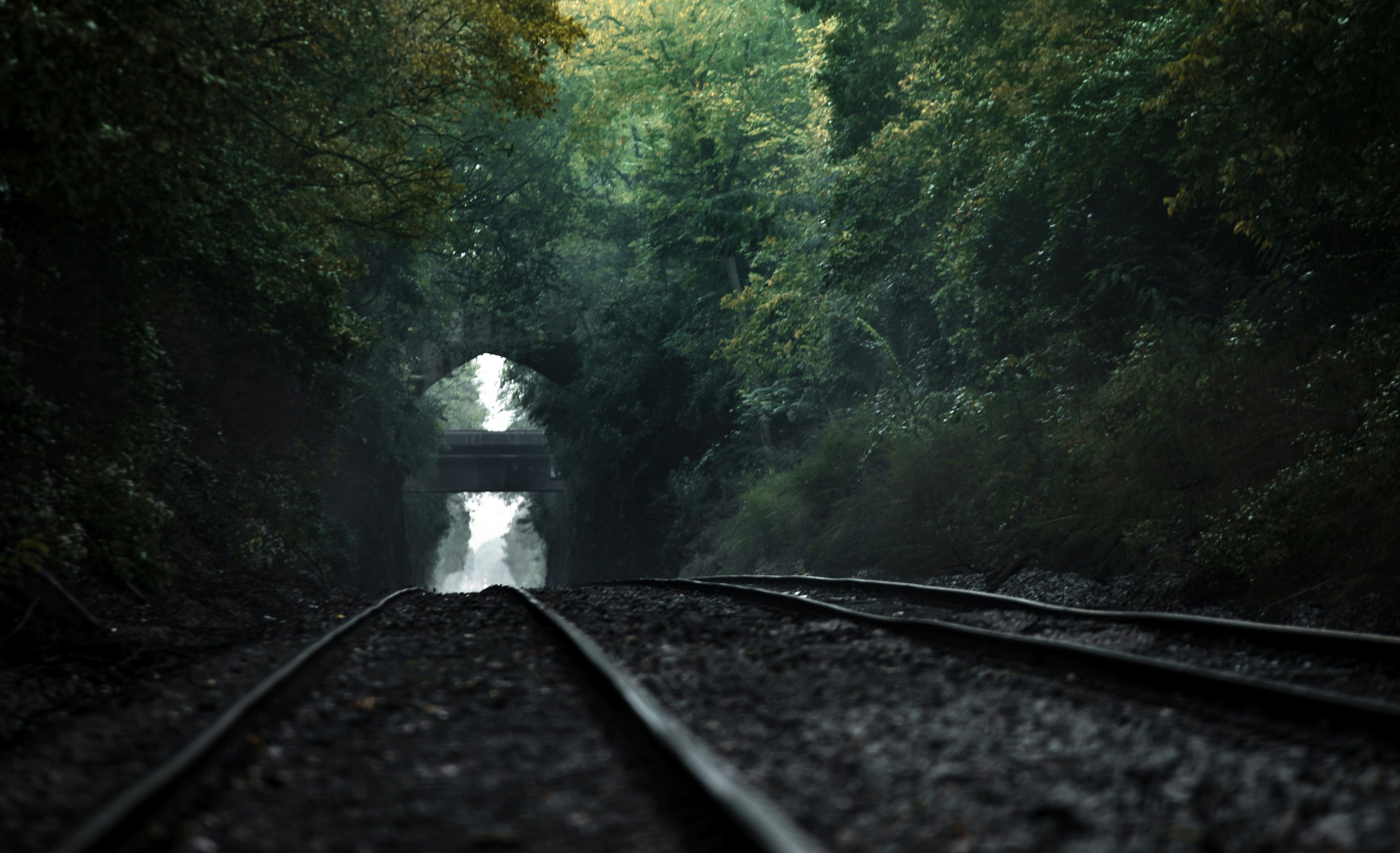 3000x1827 Eisenbahn zwischen Bäumen Foto auf