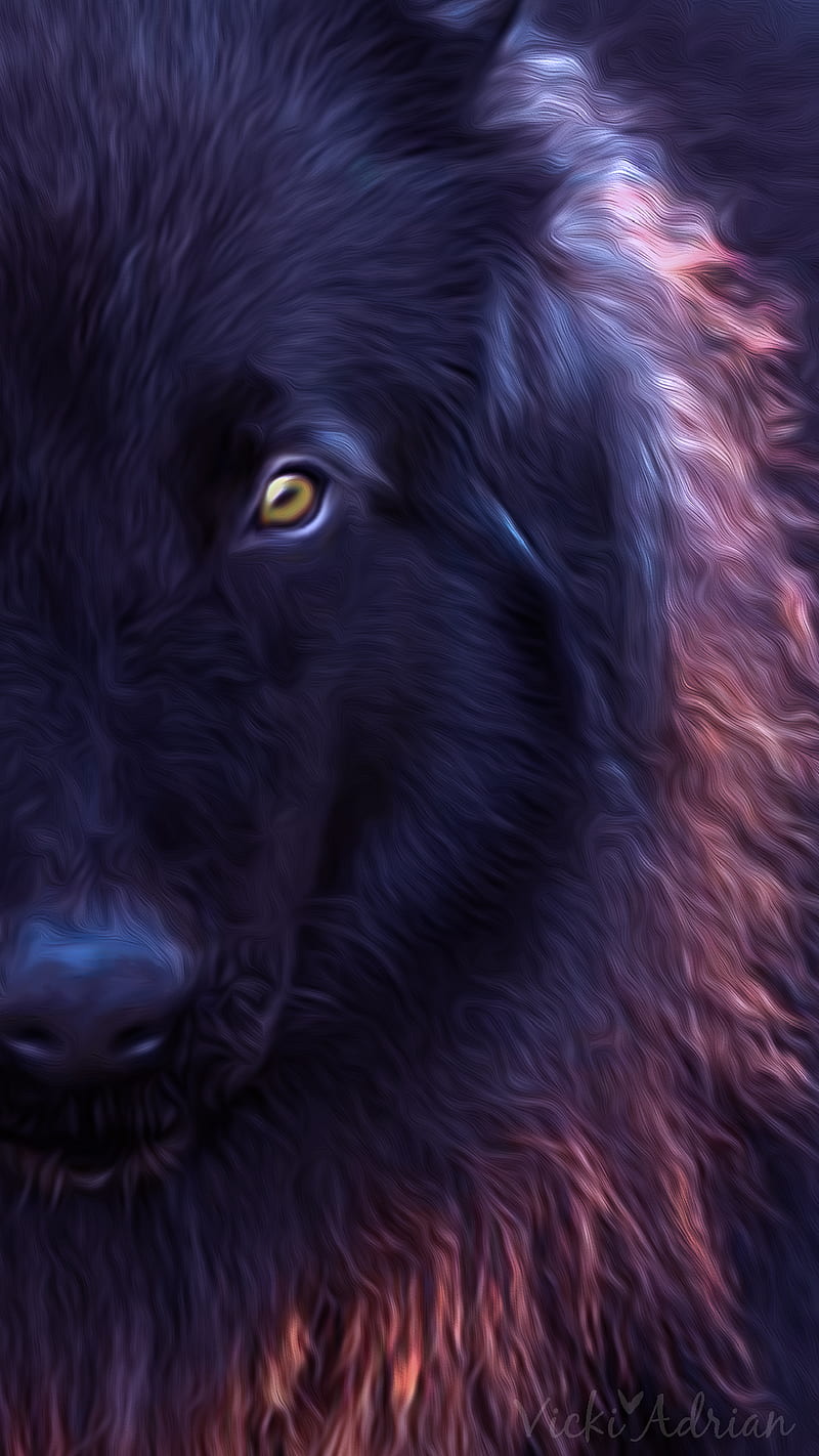 800x1422 Wolf, lycan, HD phone wallpaper