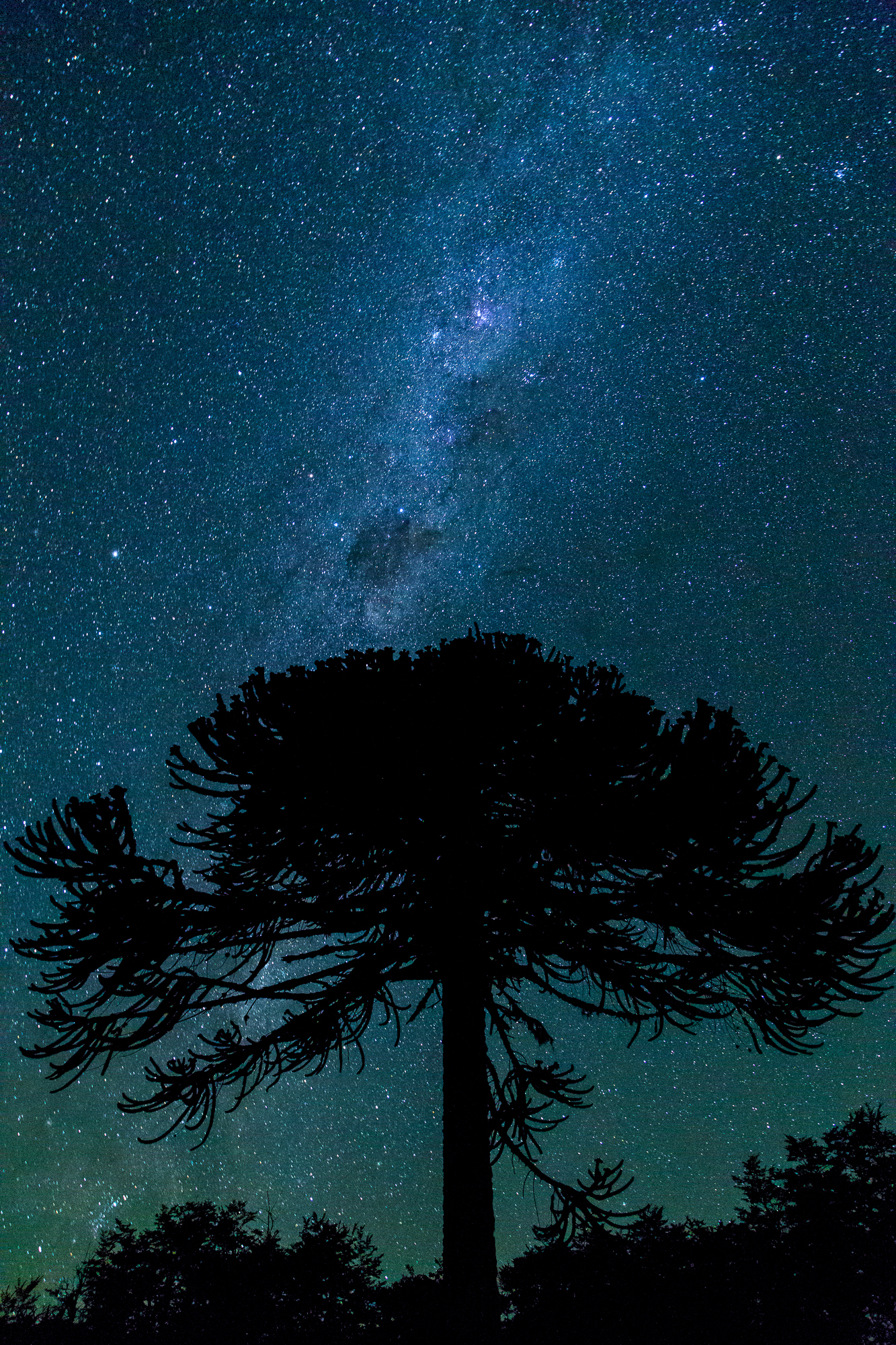 1333x2000 Noche estrellada sobre