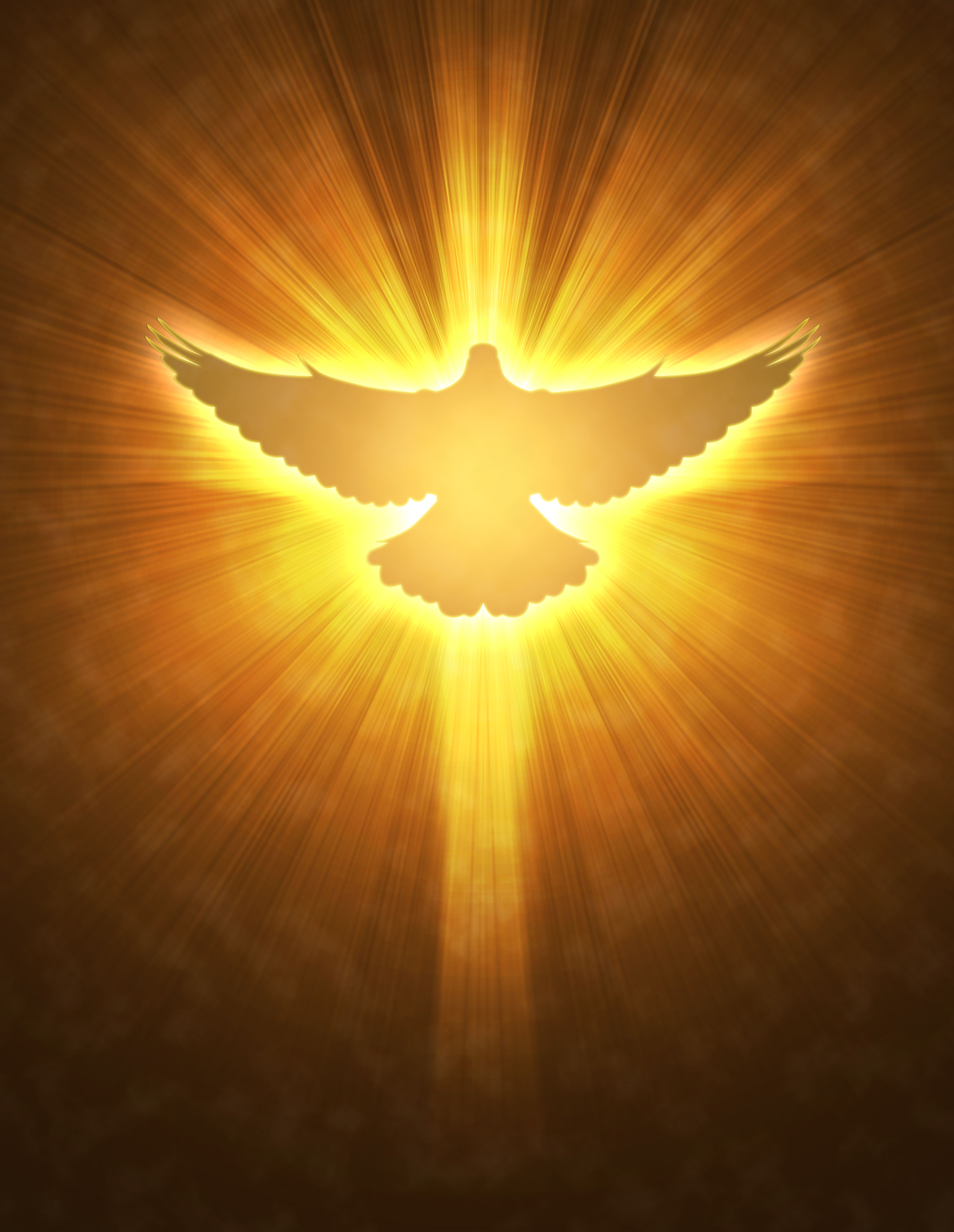 4260x5500 Holy Ghost Wallpaper