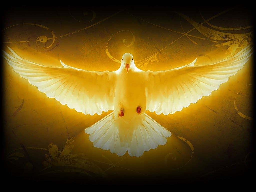 1024x768 Holy Mass image.: Holy Spirit