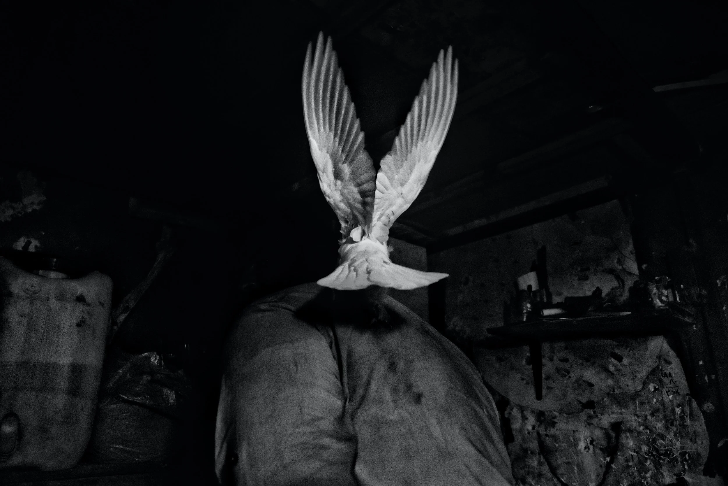 2500x1667 What Makes a Holy Ghost?