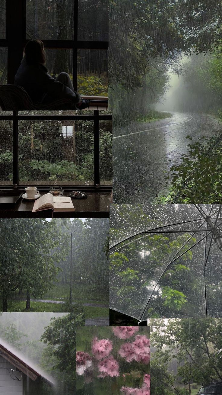 736x1308 rain#rainyday#aesthetic#atmosphere#vibe#collage#wallpaper#rainydayaesthetic