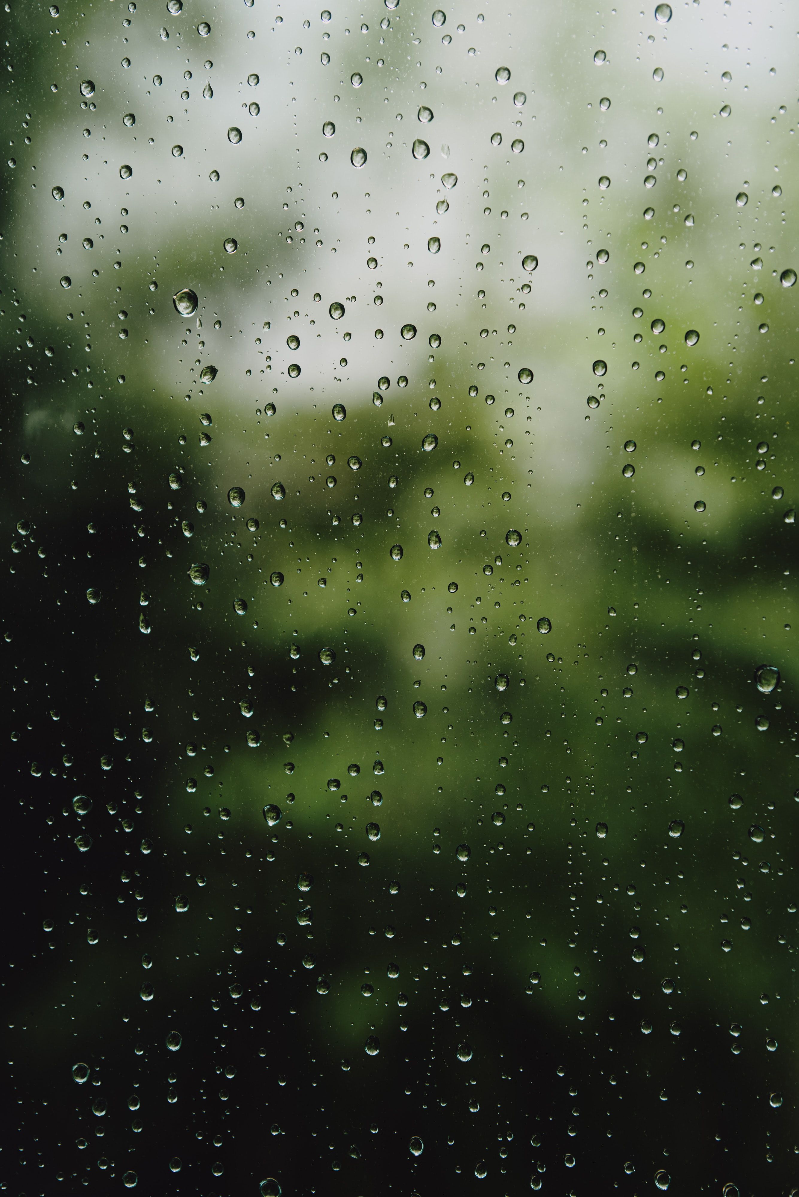 2669x4000 Rain Phone Wallpaper: Free 4K & HD Downloads