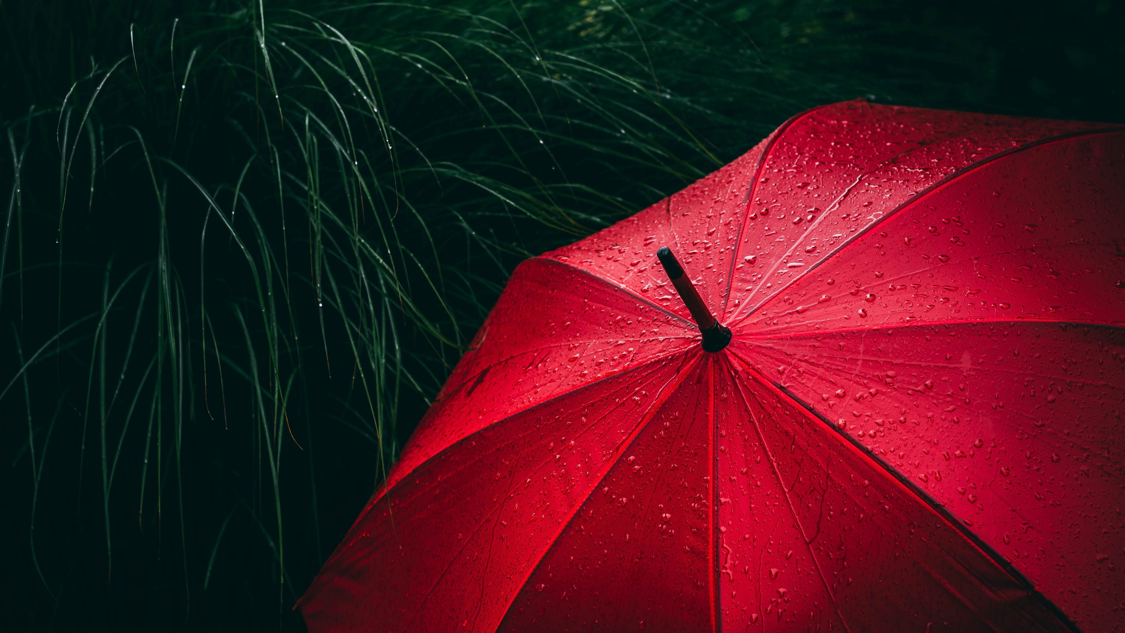 3840x2160 Umbrella Wallpaper 4K, Red, Rain droplets, Rainy day, 5K