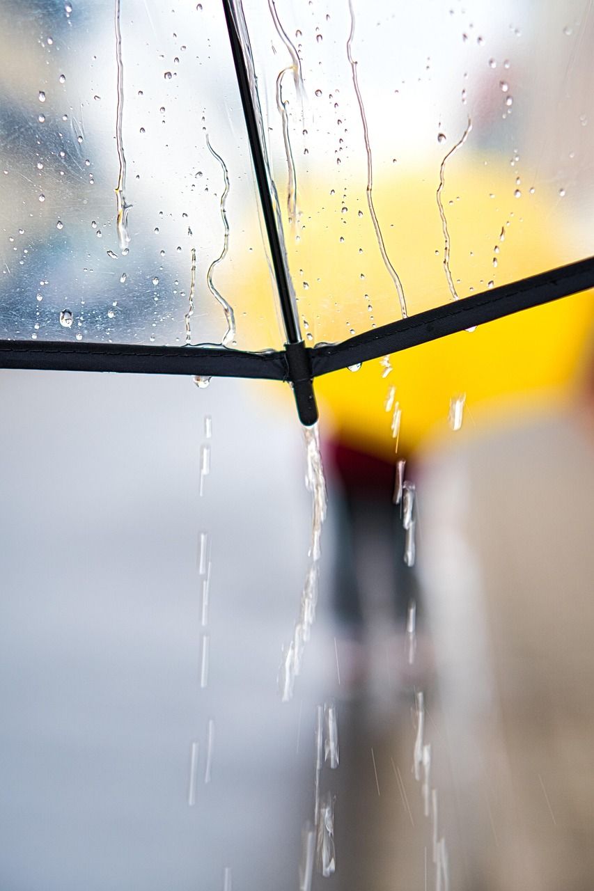 853x1280 Free Rainy Weather & Rain Image